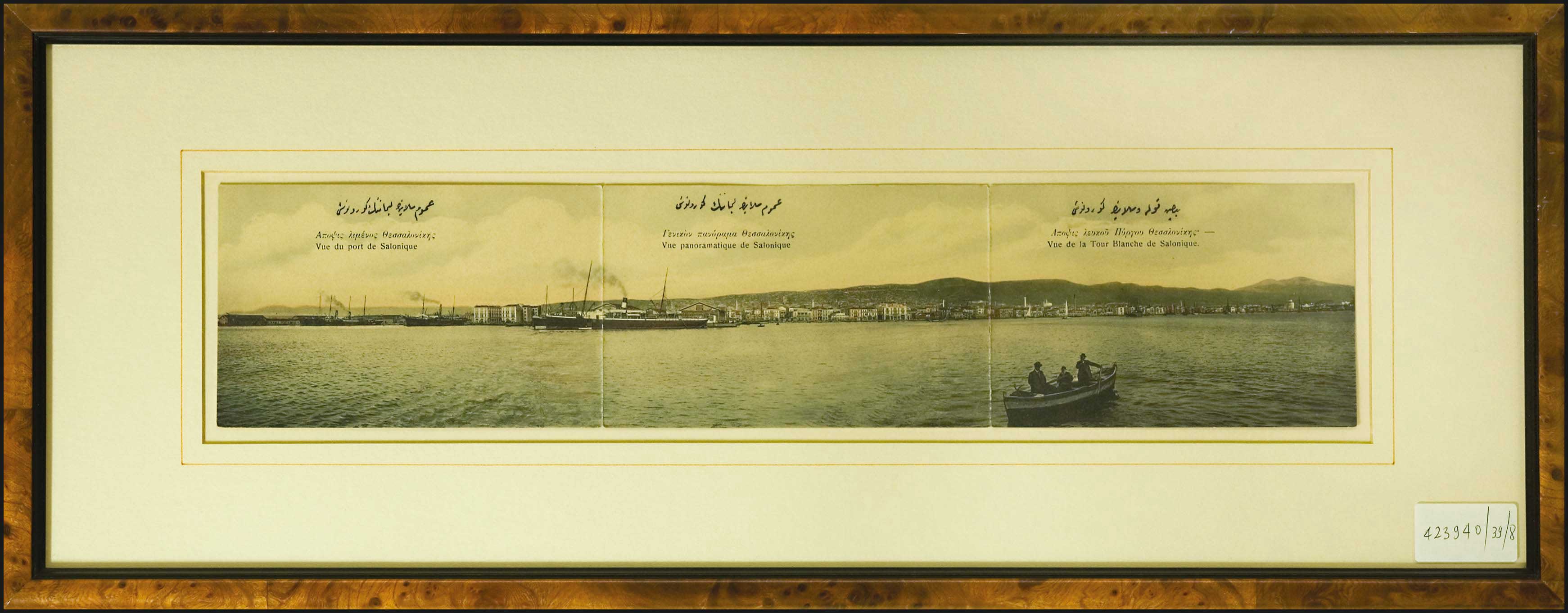 Lot 08447