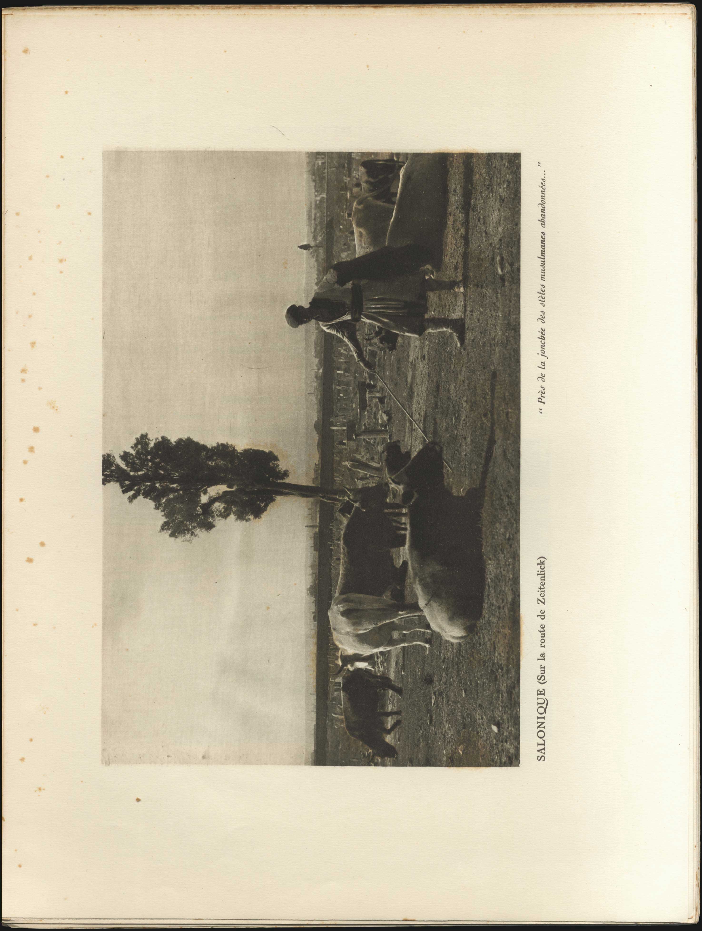 Lot 08028