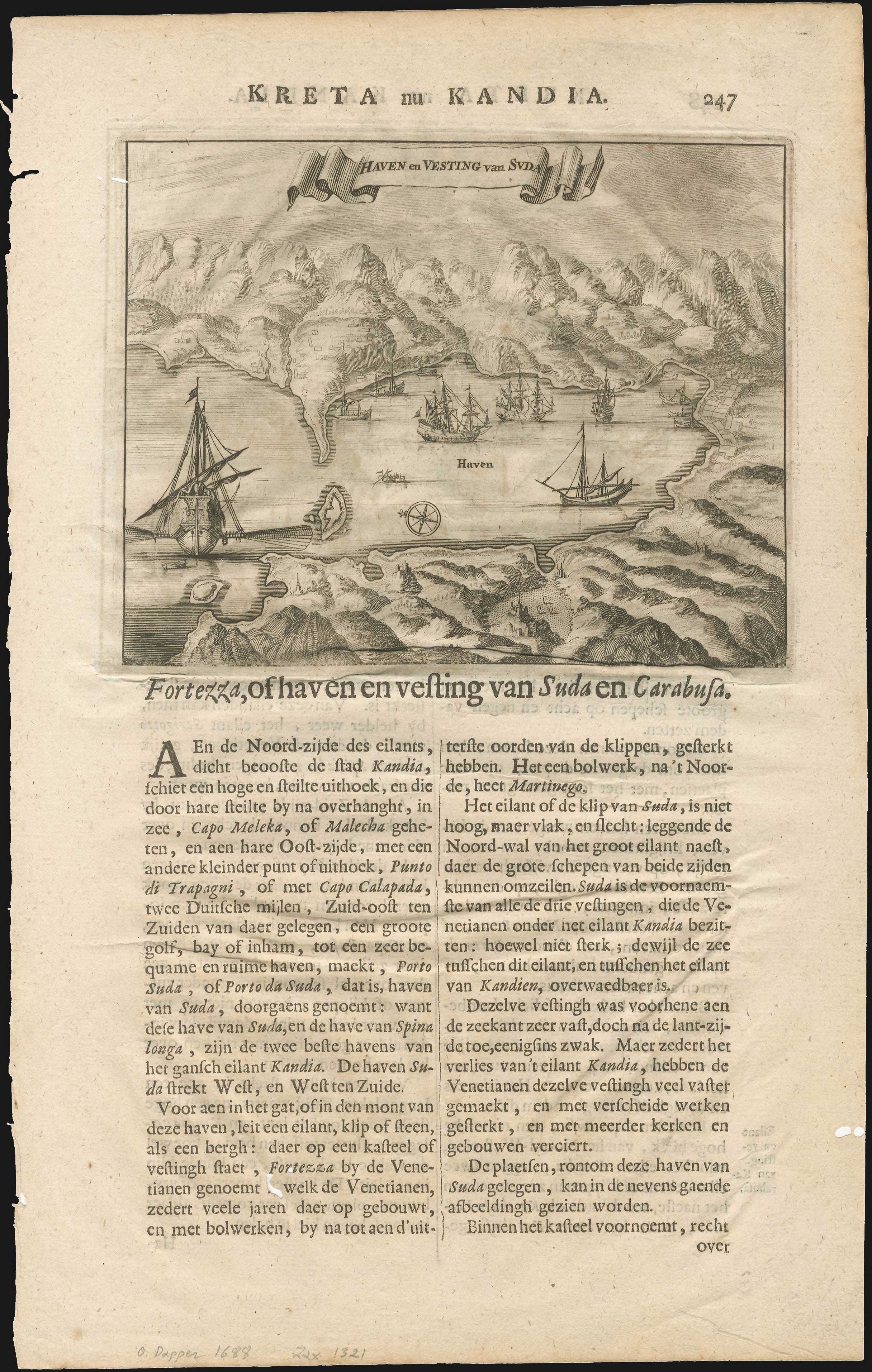 Lot 08119