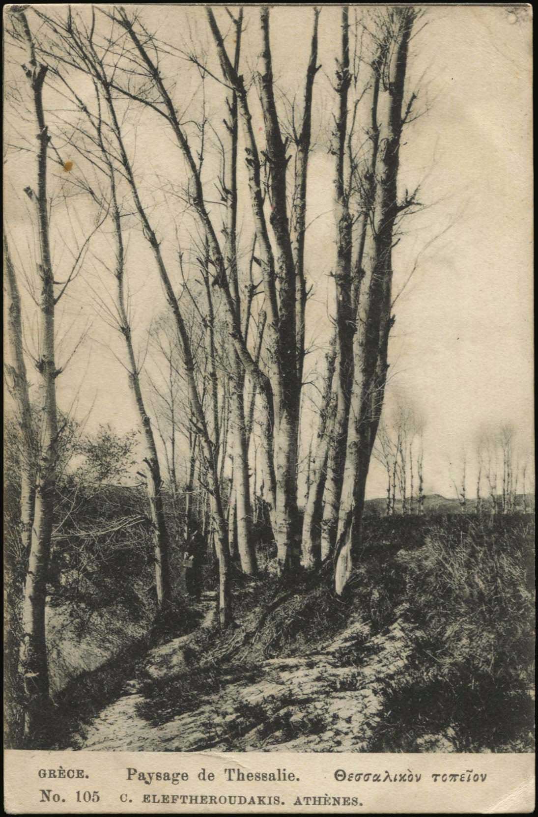 Lot 01580