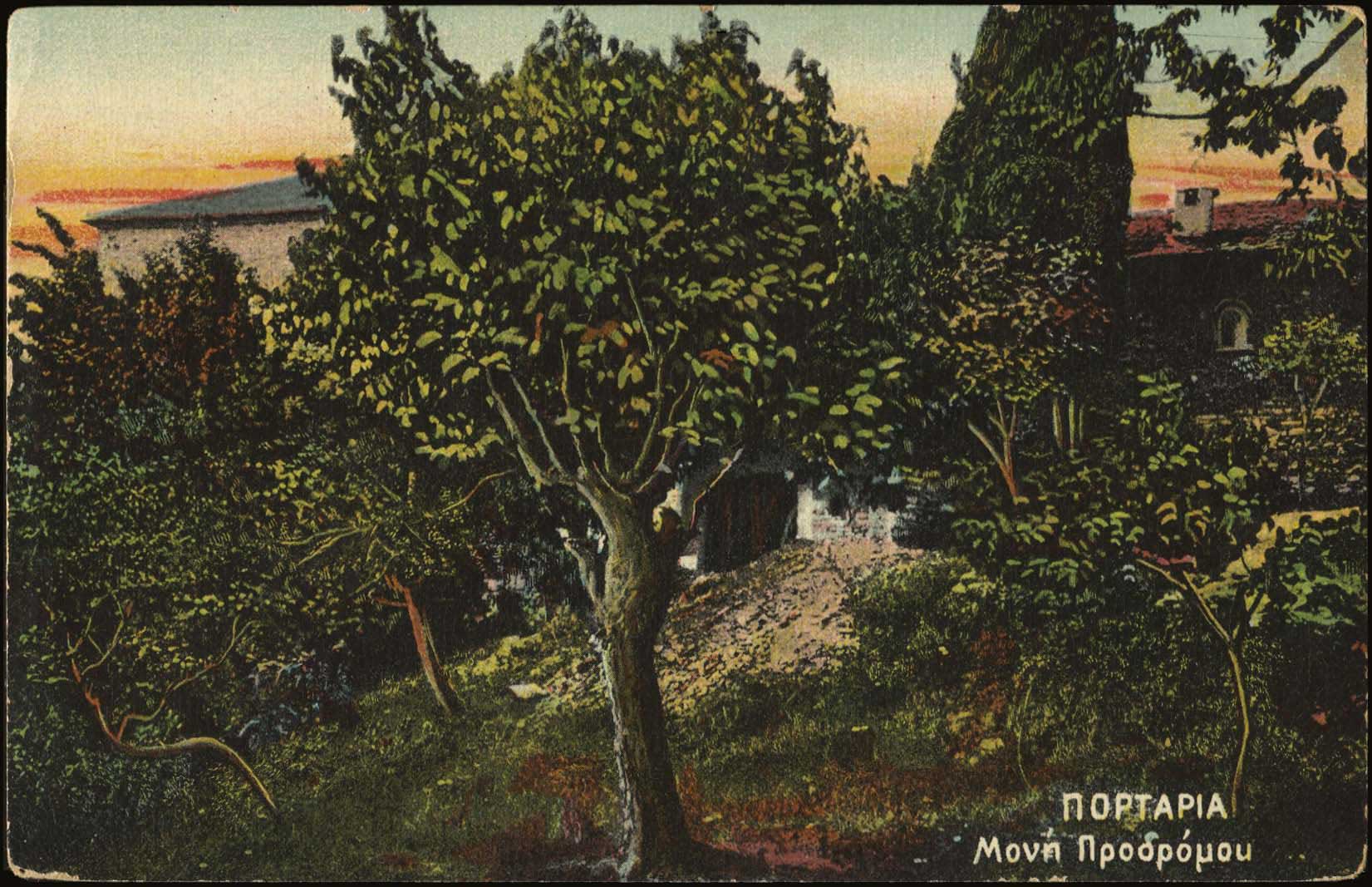 Lot 01659