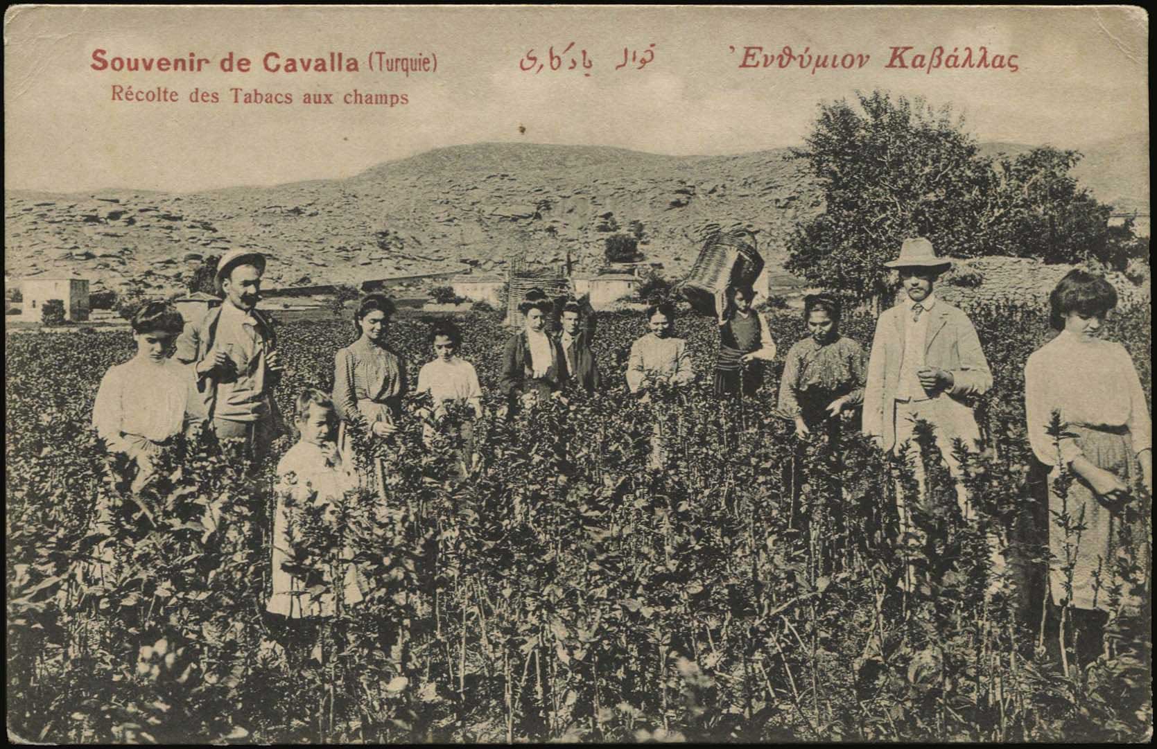 Lot 01860