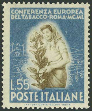 Lot 07446