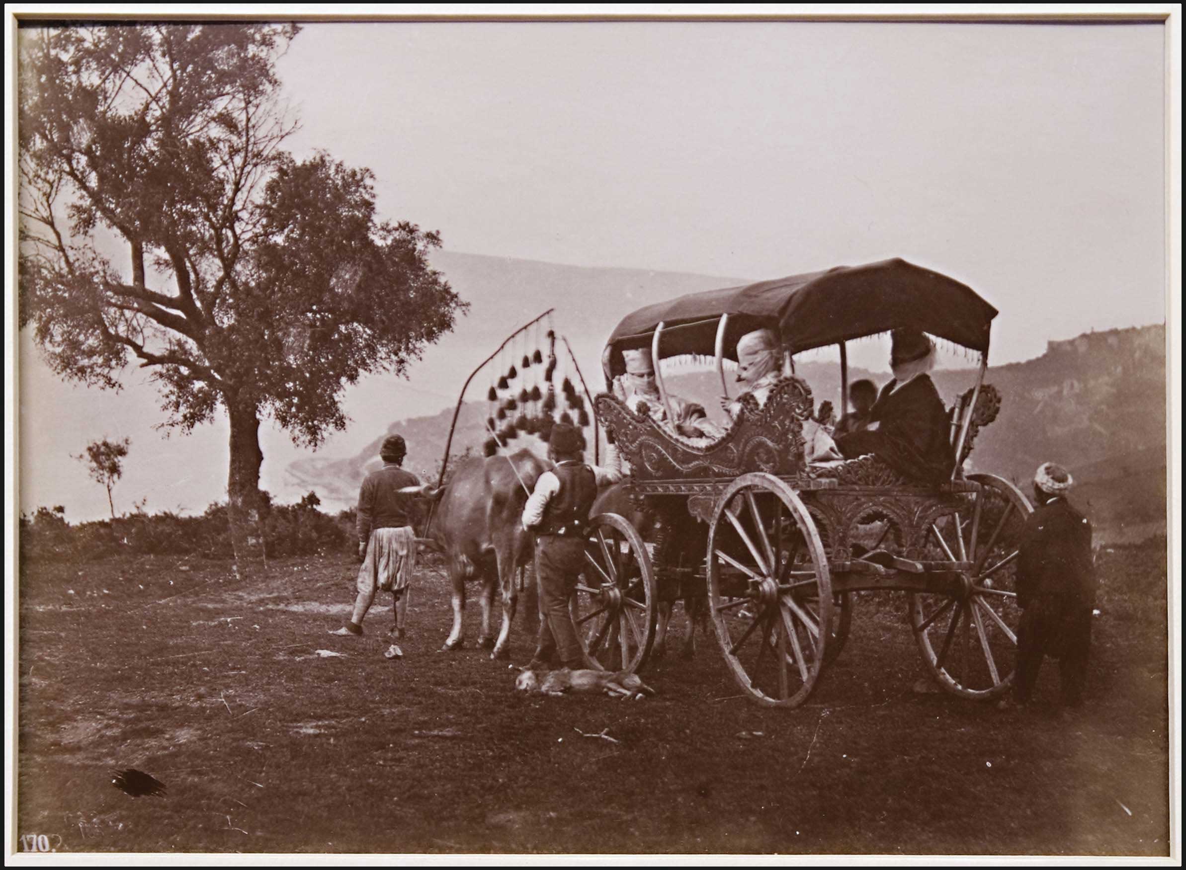 Lot 08207