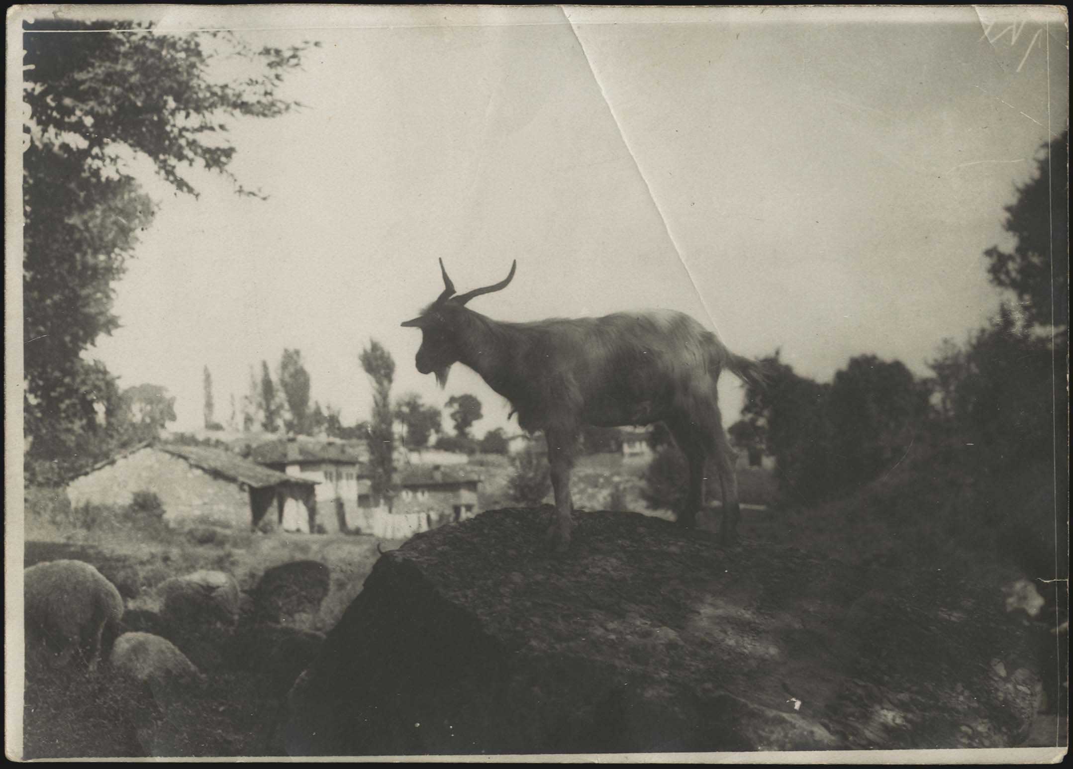 Lot 08184