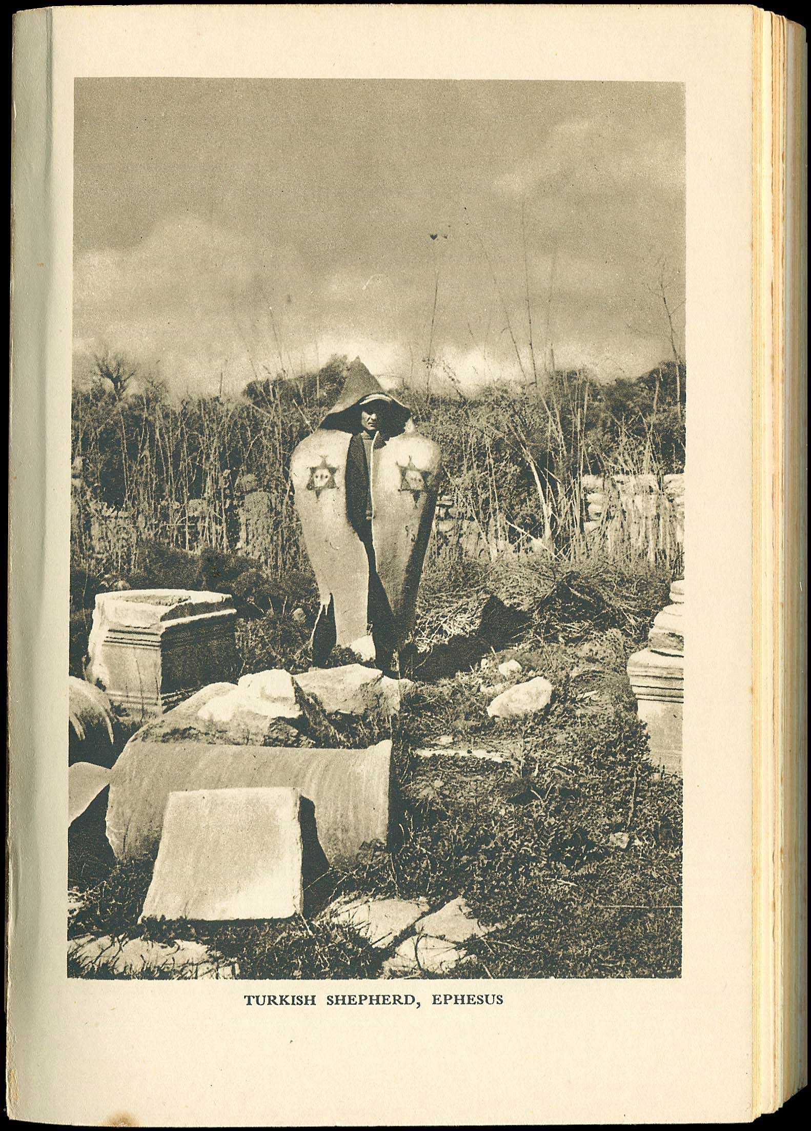 Lot 03104