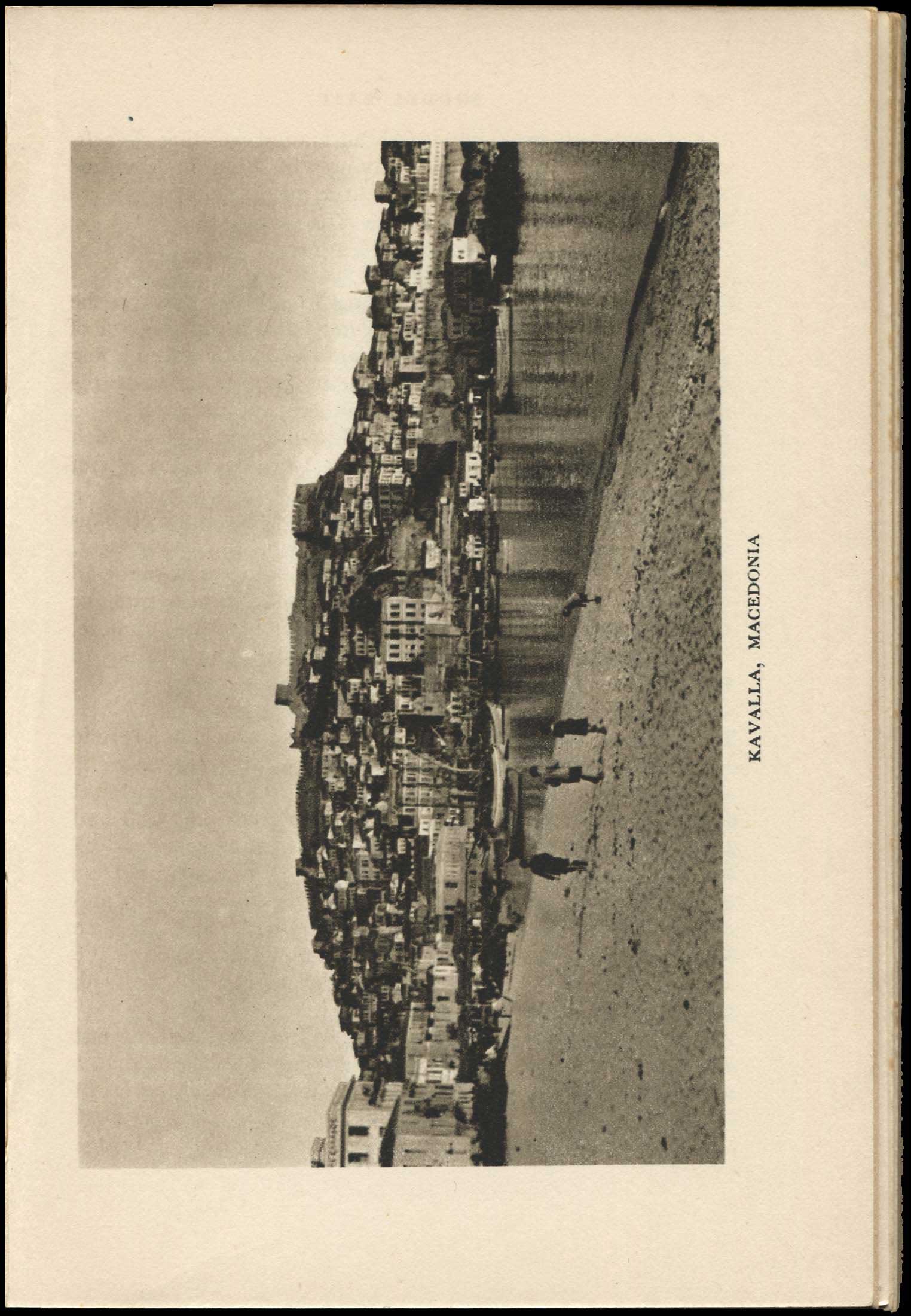 Lot 03104