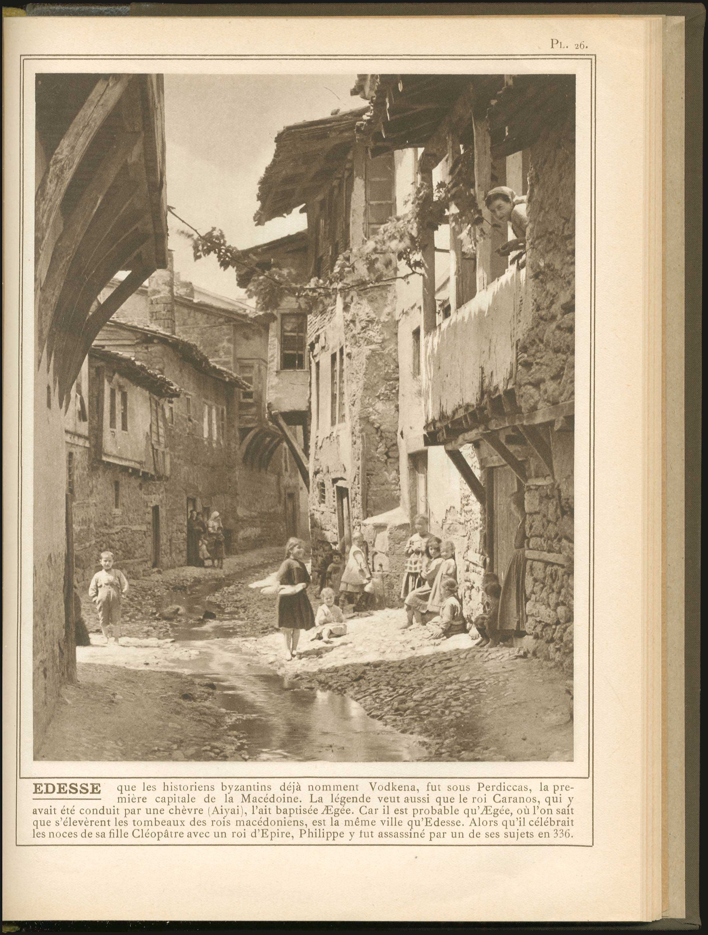 Lot 09081