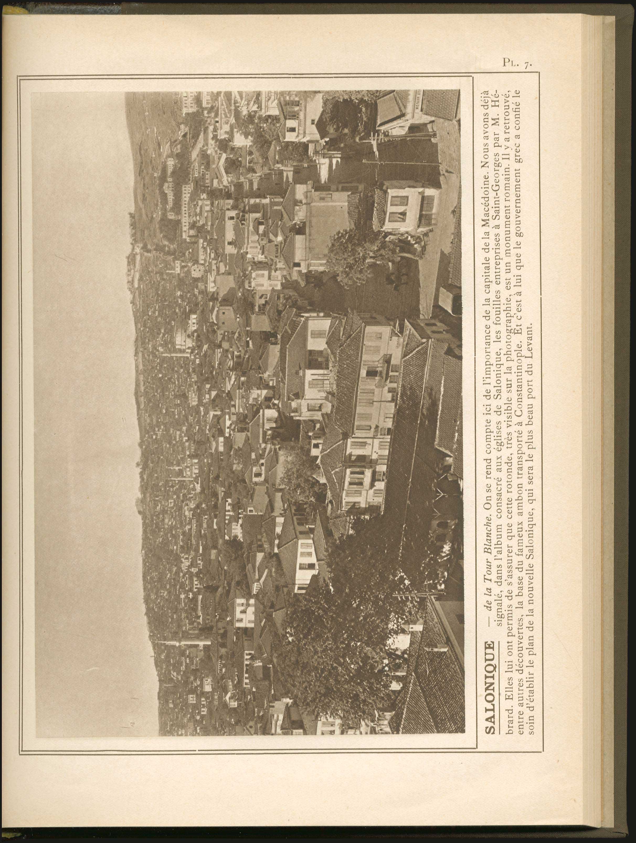 Lot 09081
