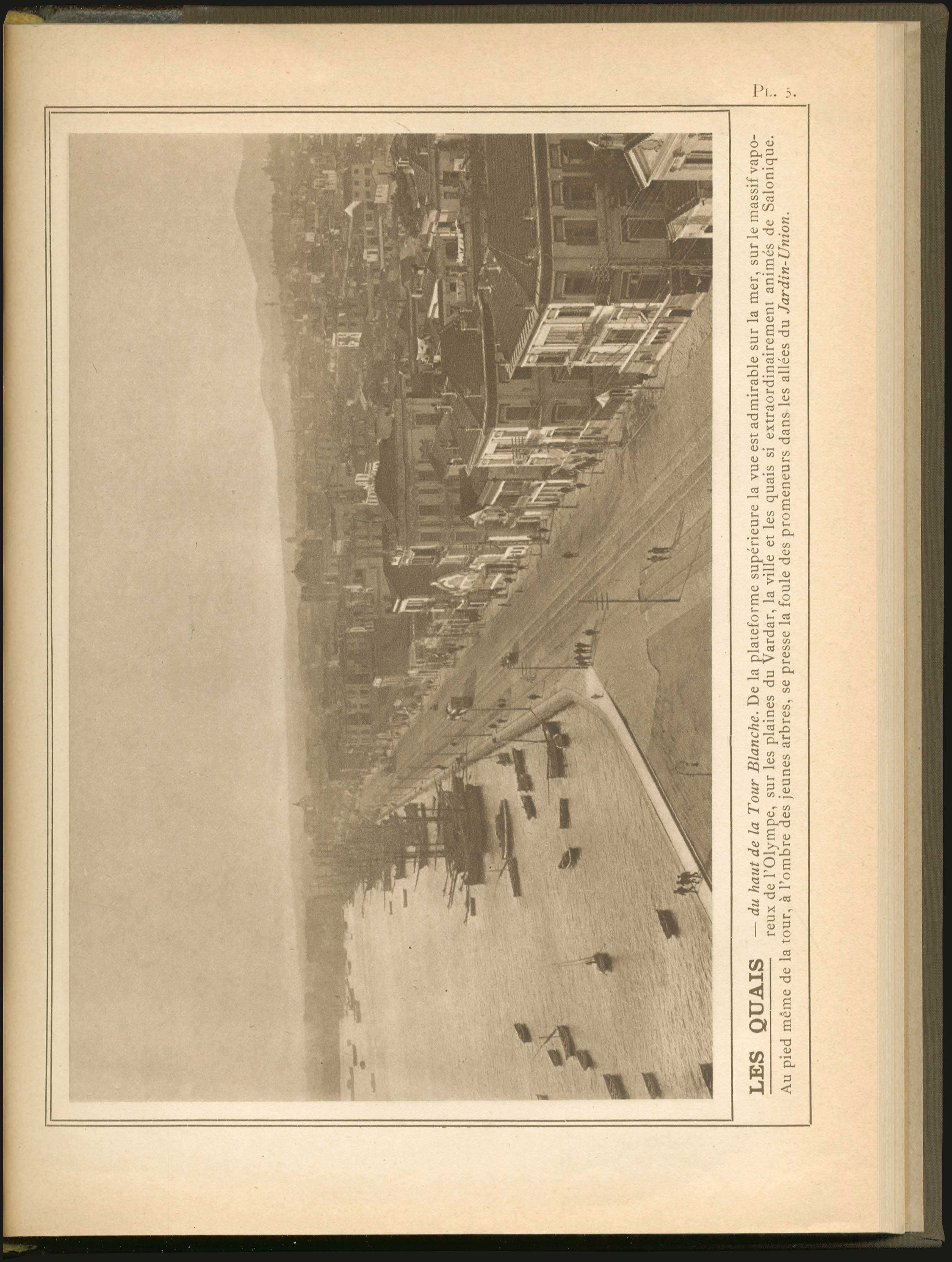 Lot 09081
