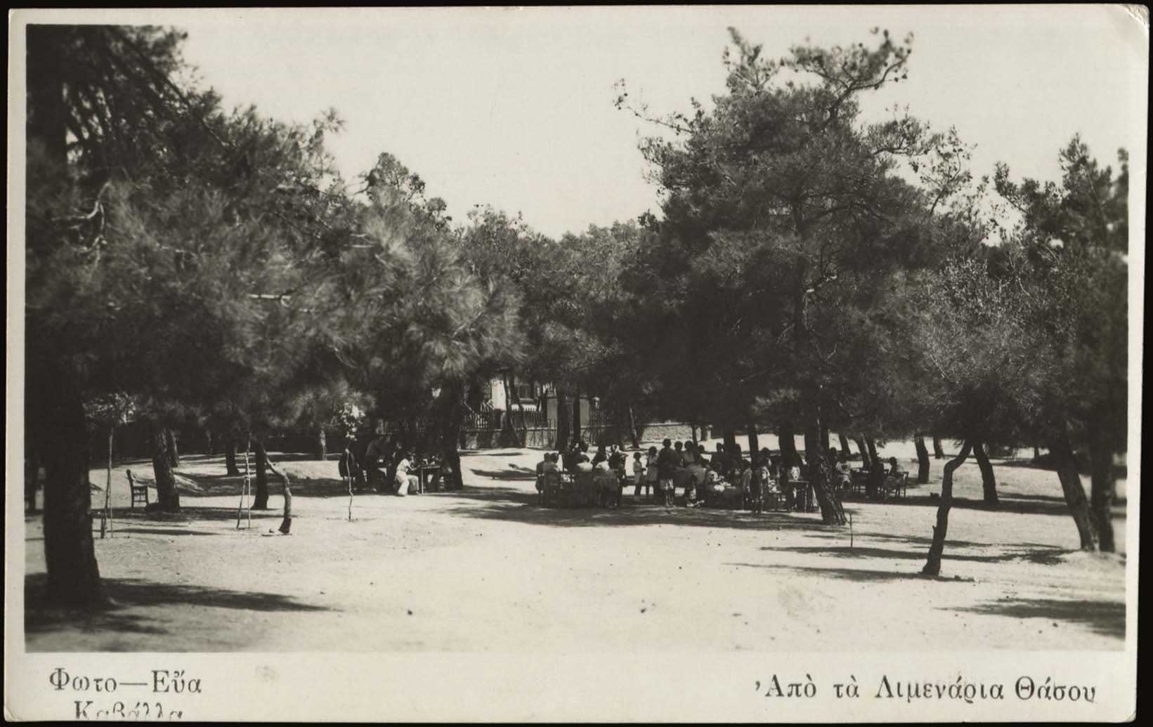 Lot 02198