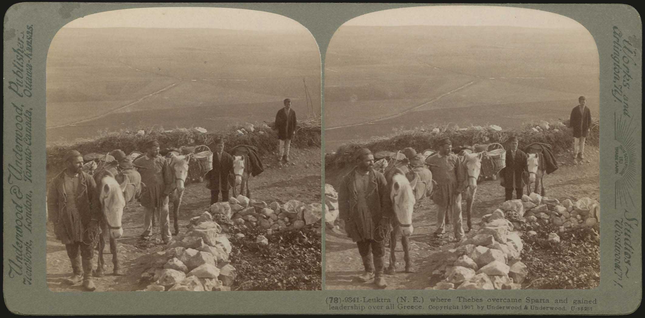 Lot 06241