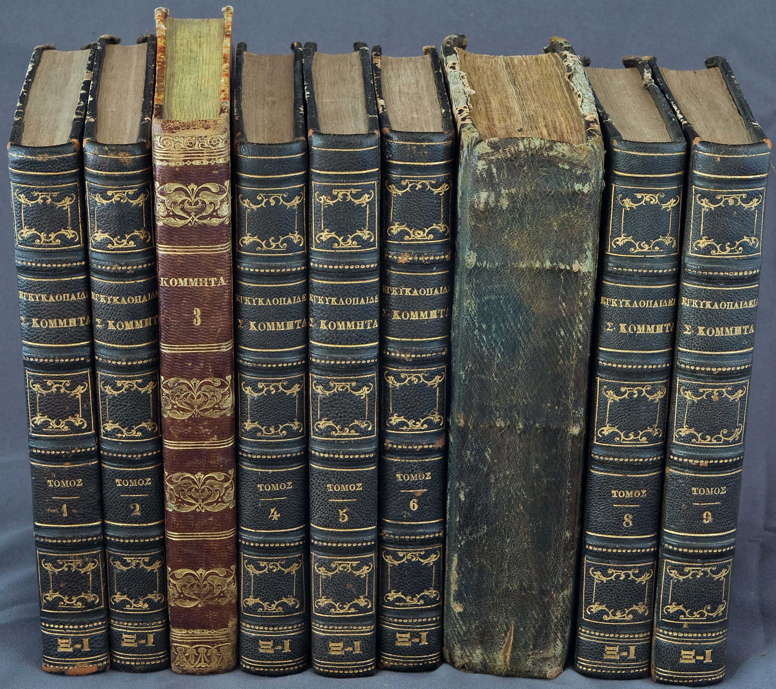 Lot 03037