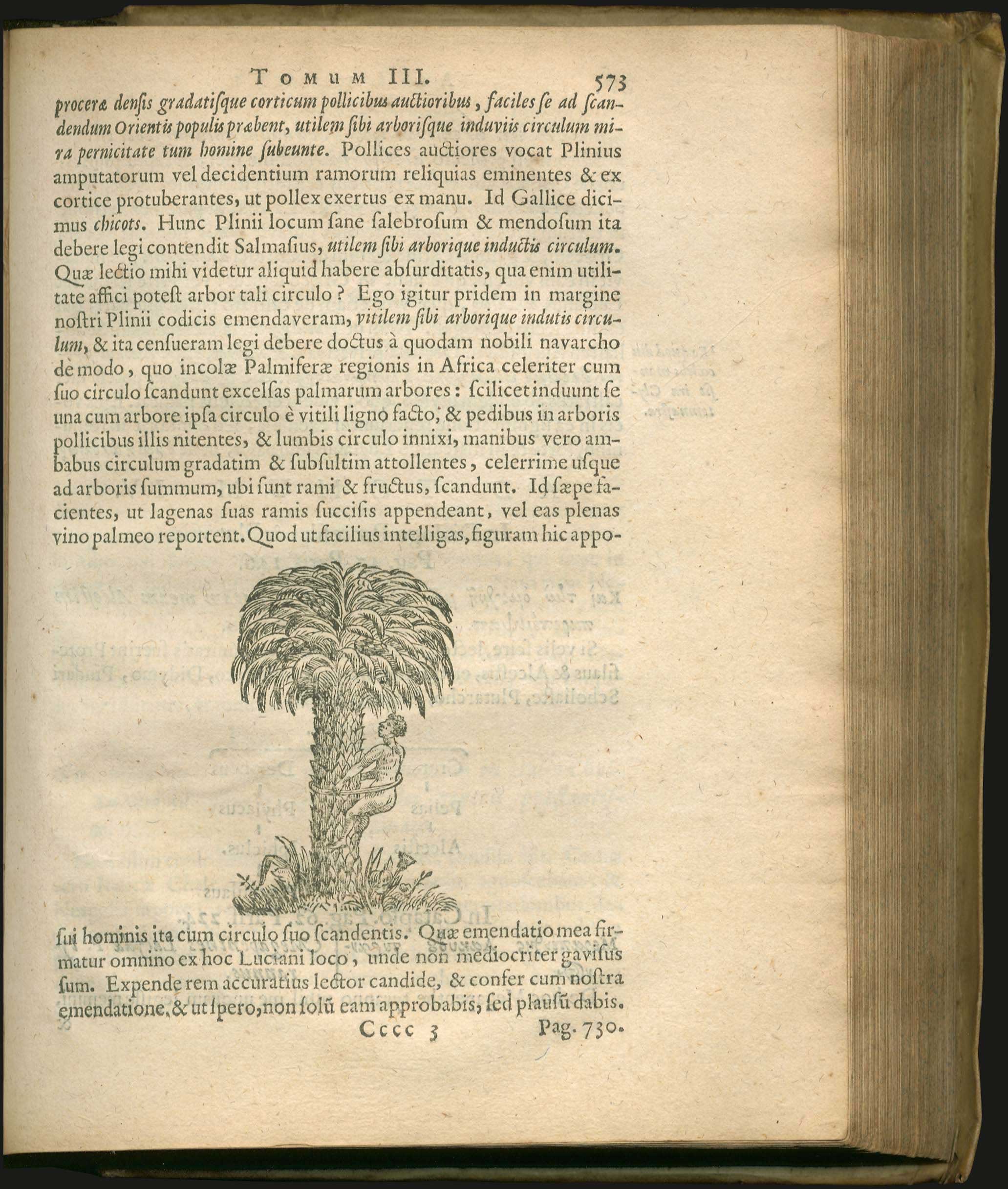 Lot 03004
