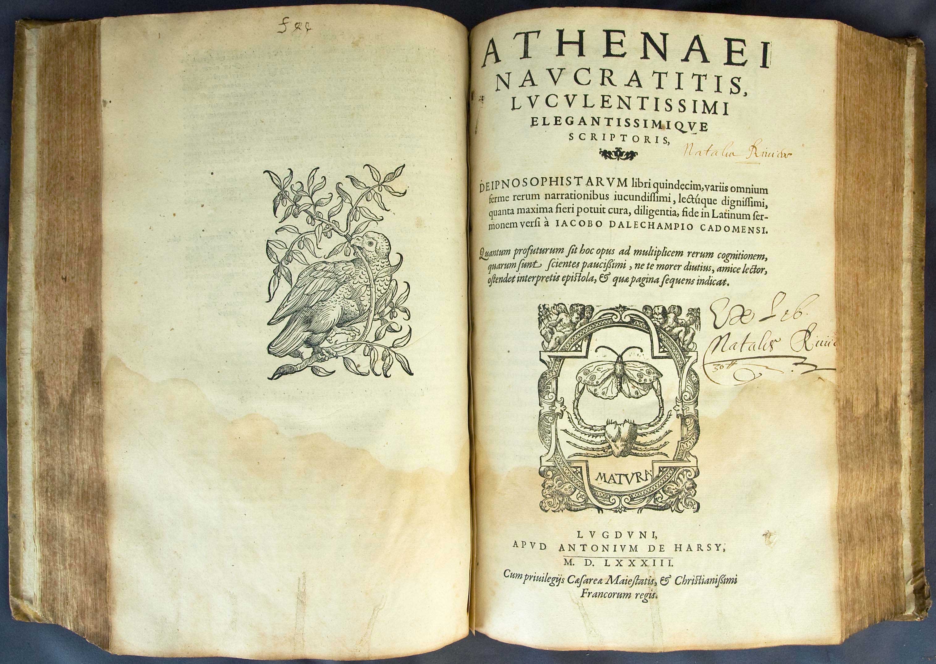 Lot 03001