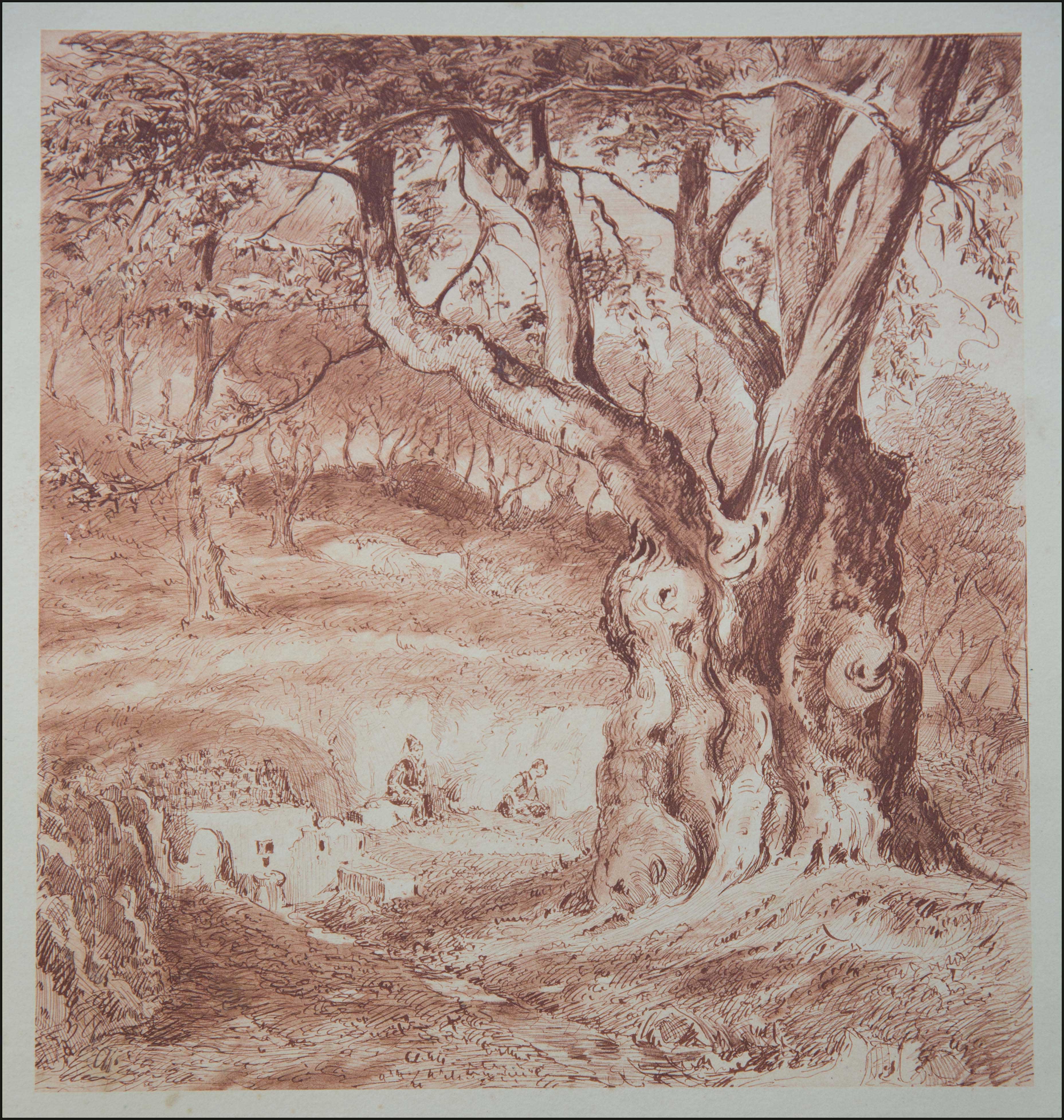 Lot 09071