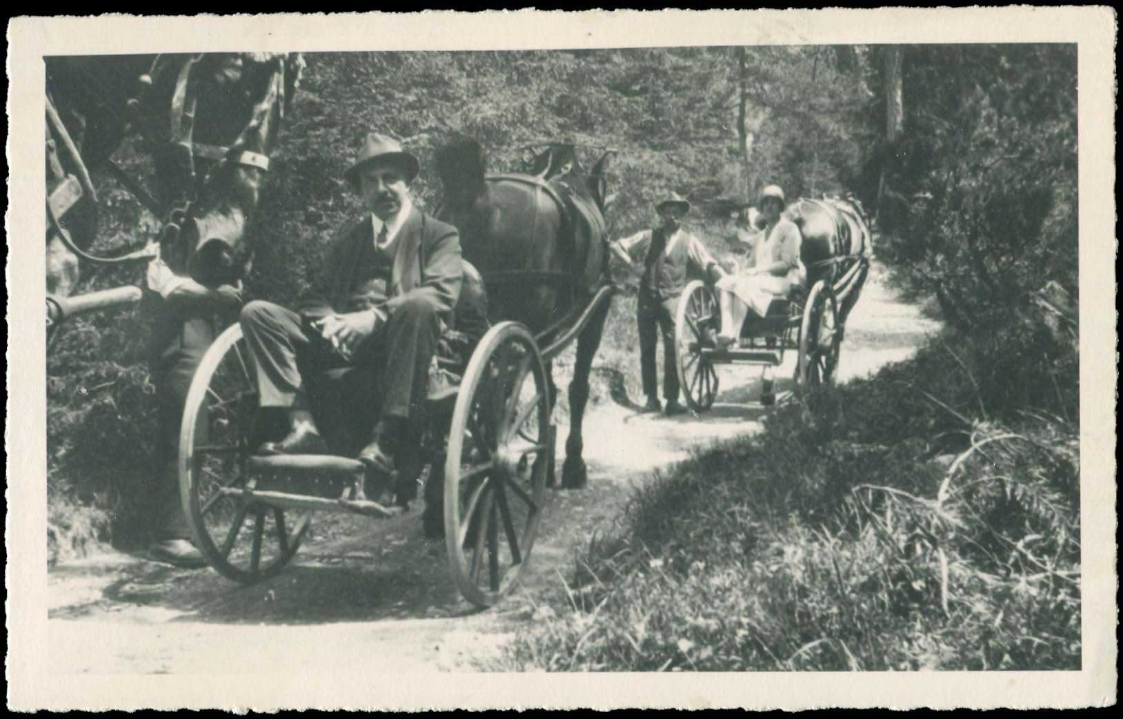 Lot 02482