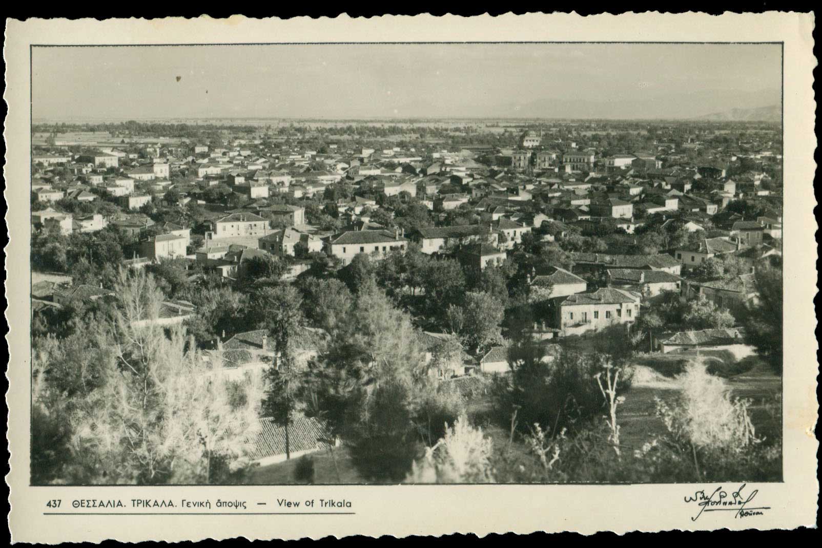 Lot 01604