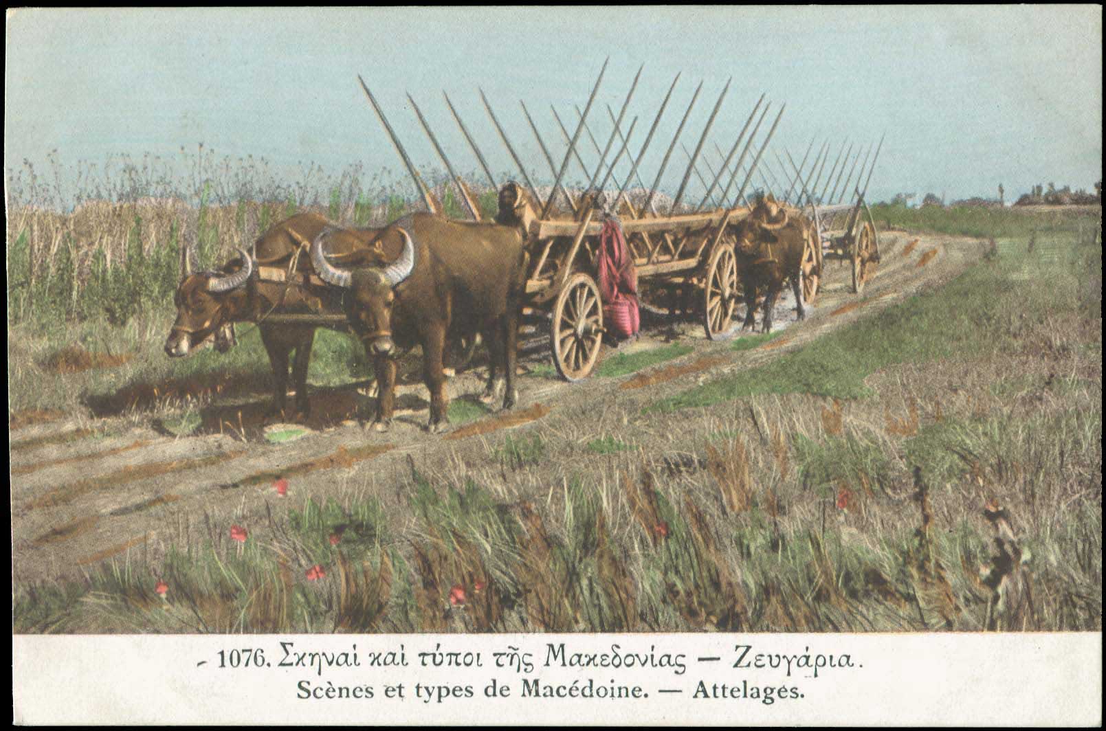 Lot 01704