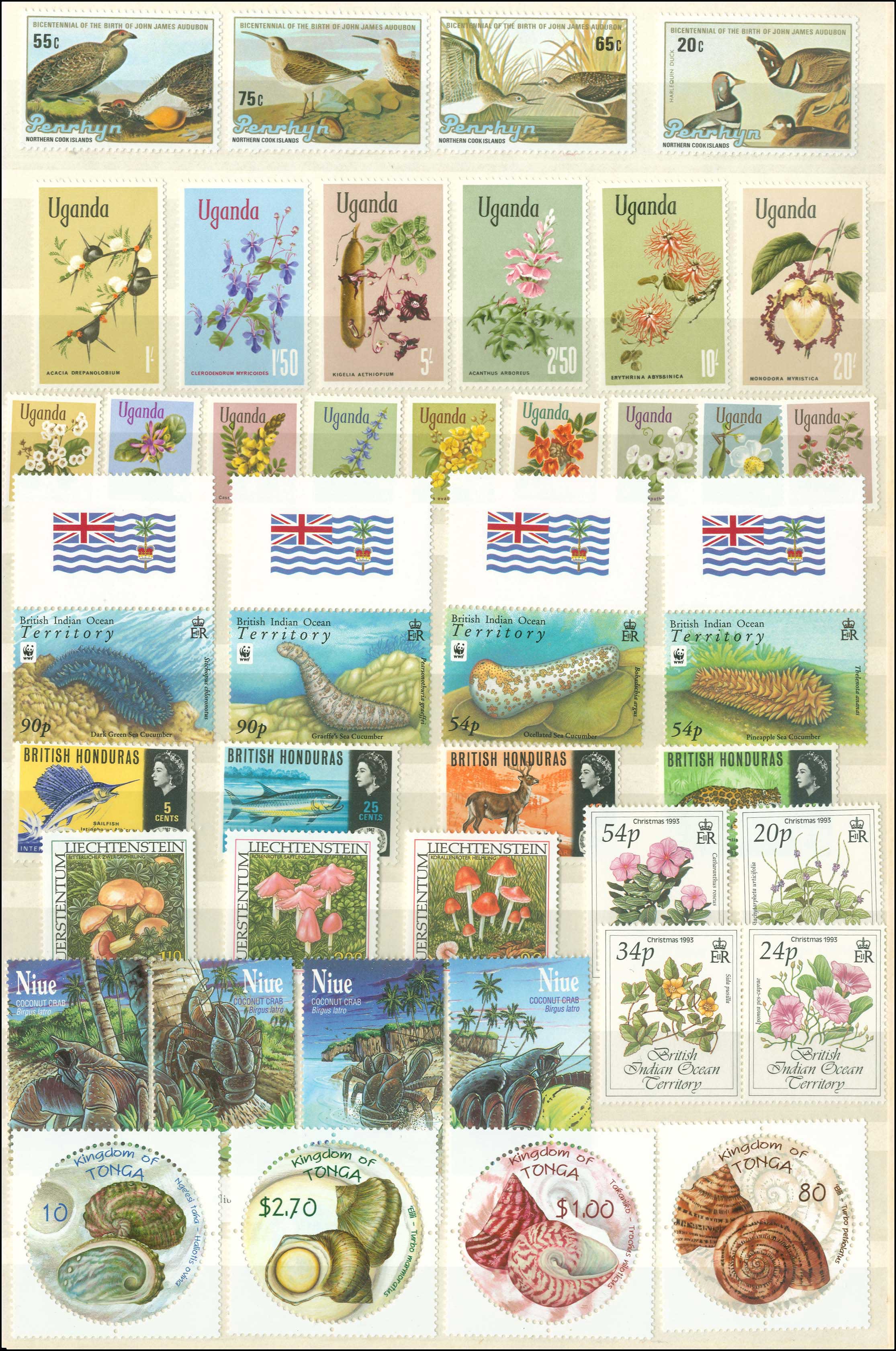 Lot 01811