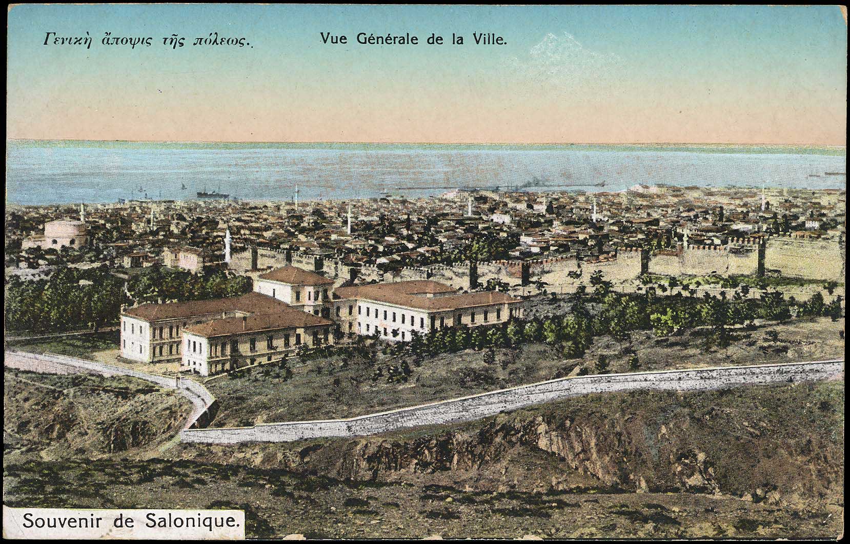 Lot 01555