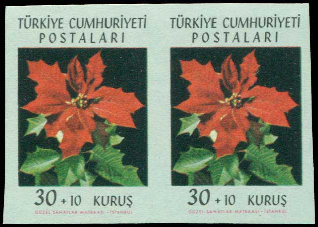Lot 01231
