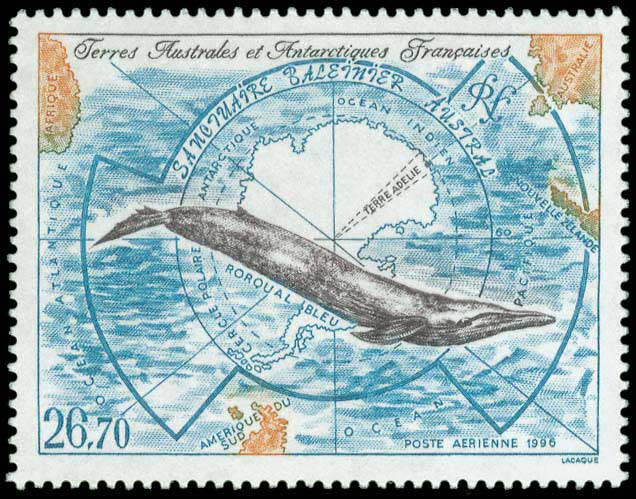 Lot 02551