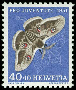 Lot 01234