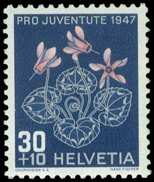 Lot 01953