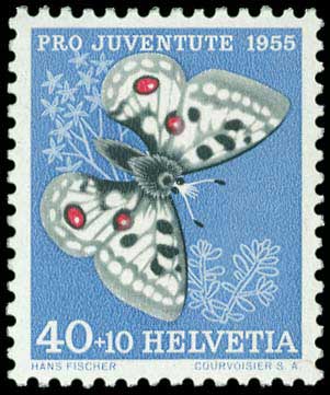 Lot 01241