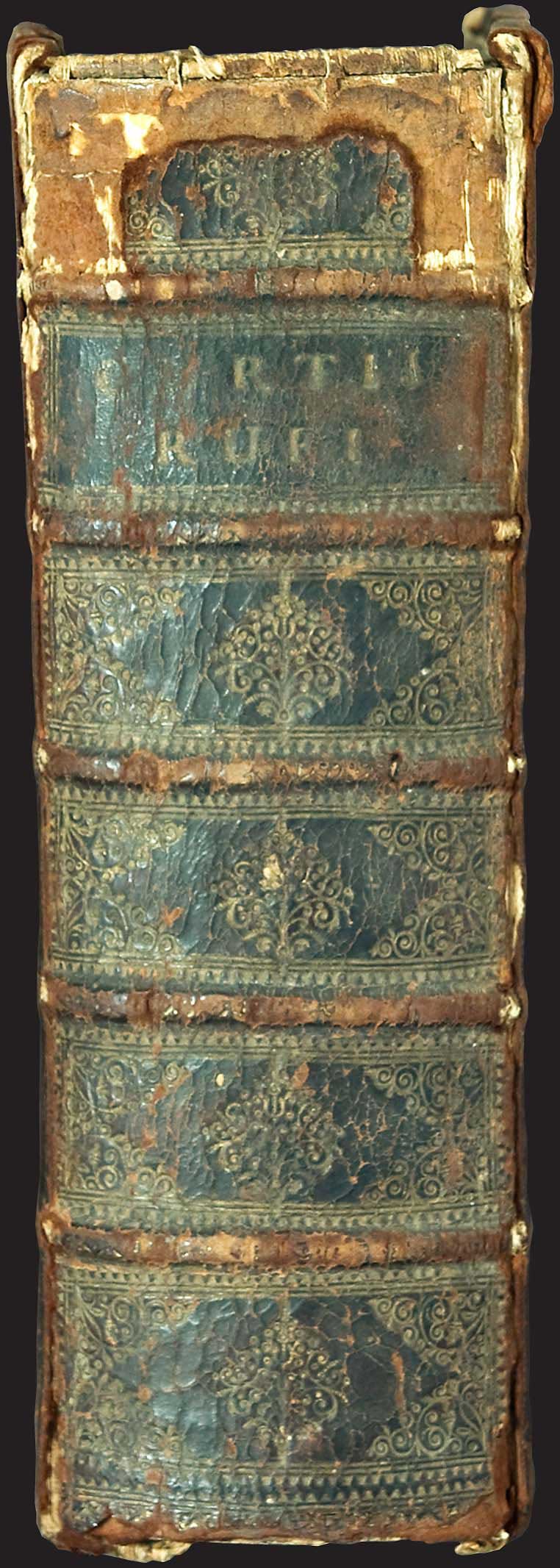 Lot 08005