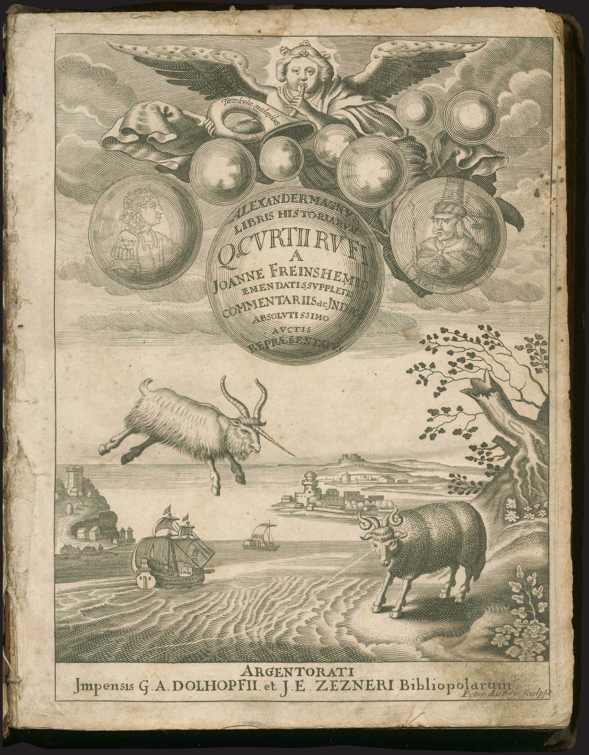 Lot 08005