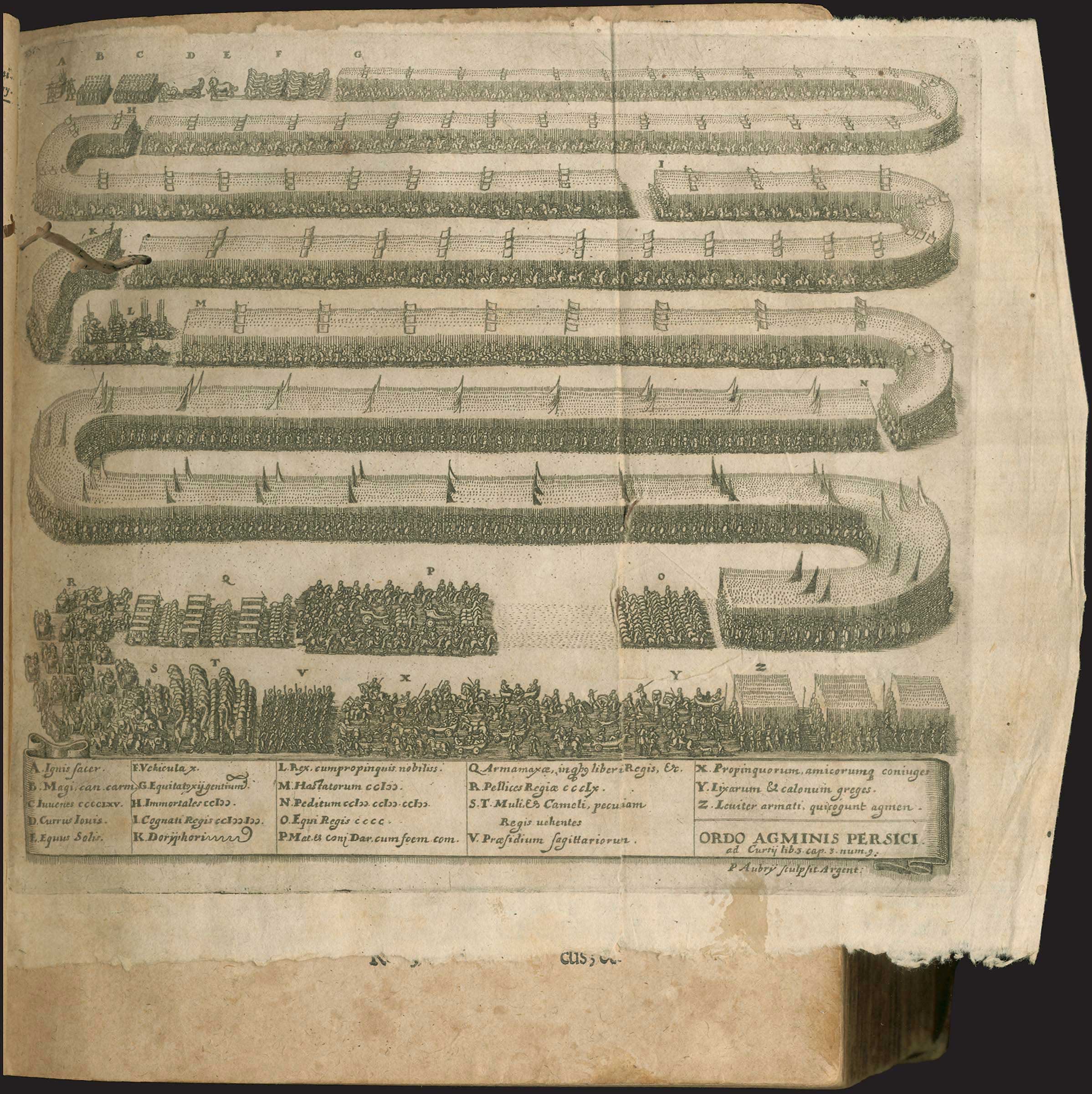 Lot 08005