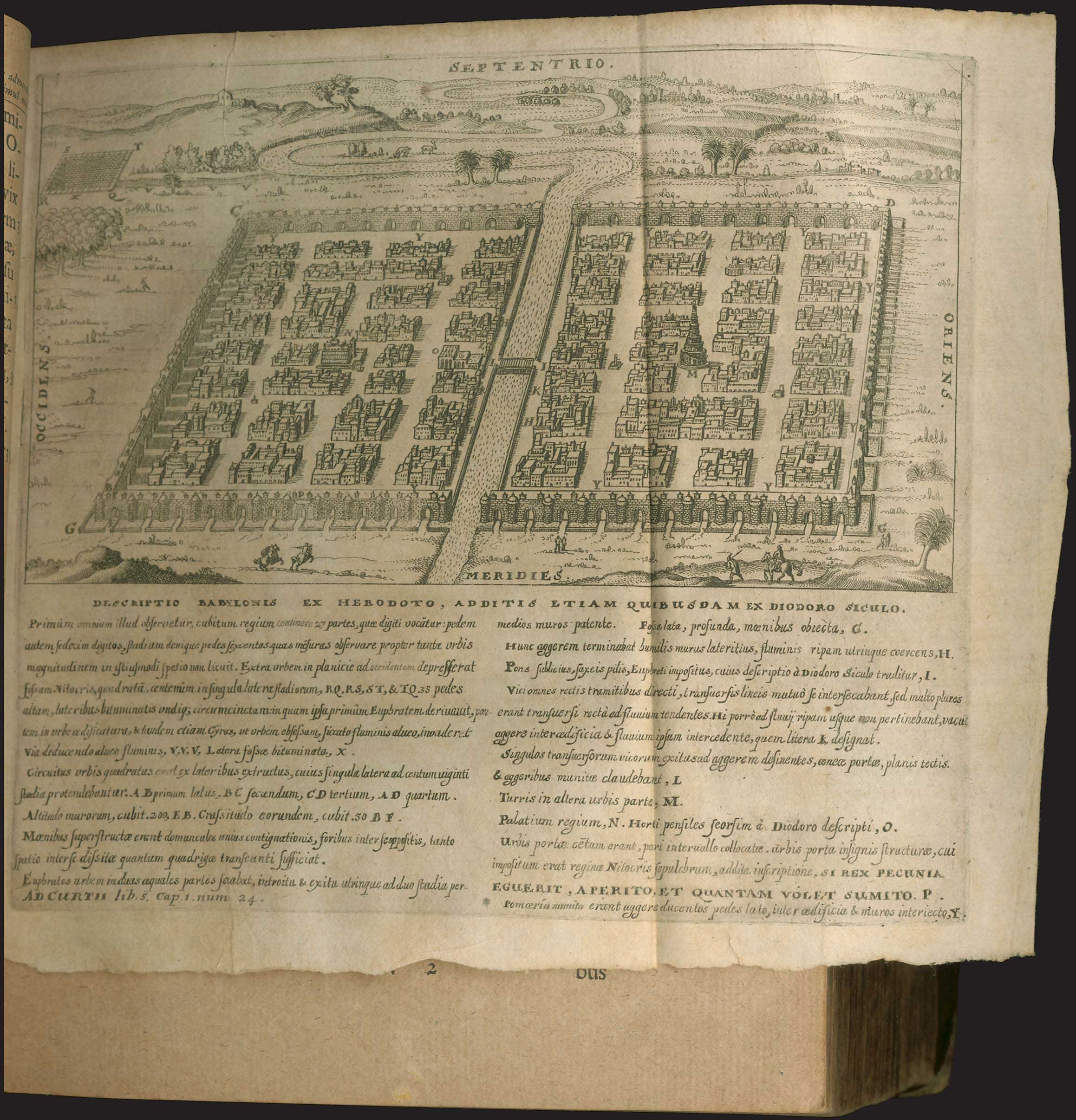 Lot 08005