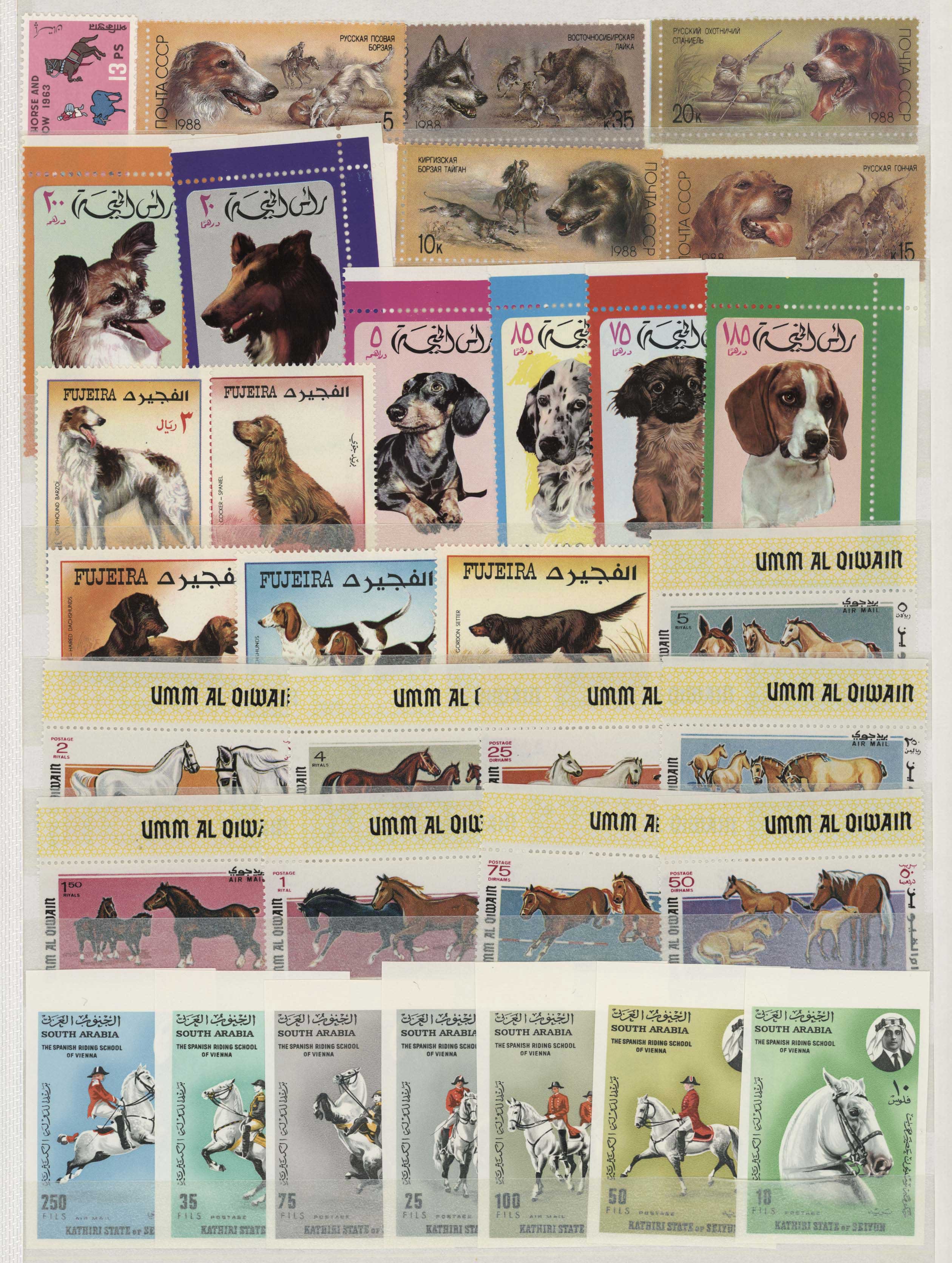 Lot 01877