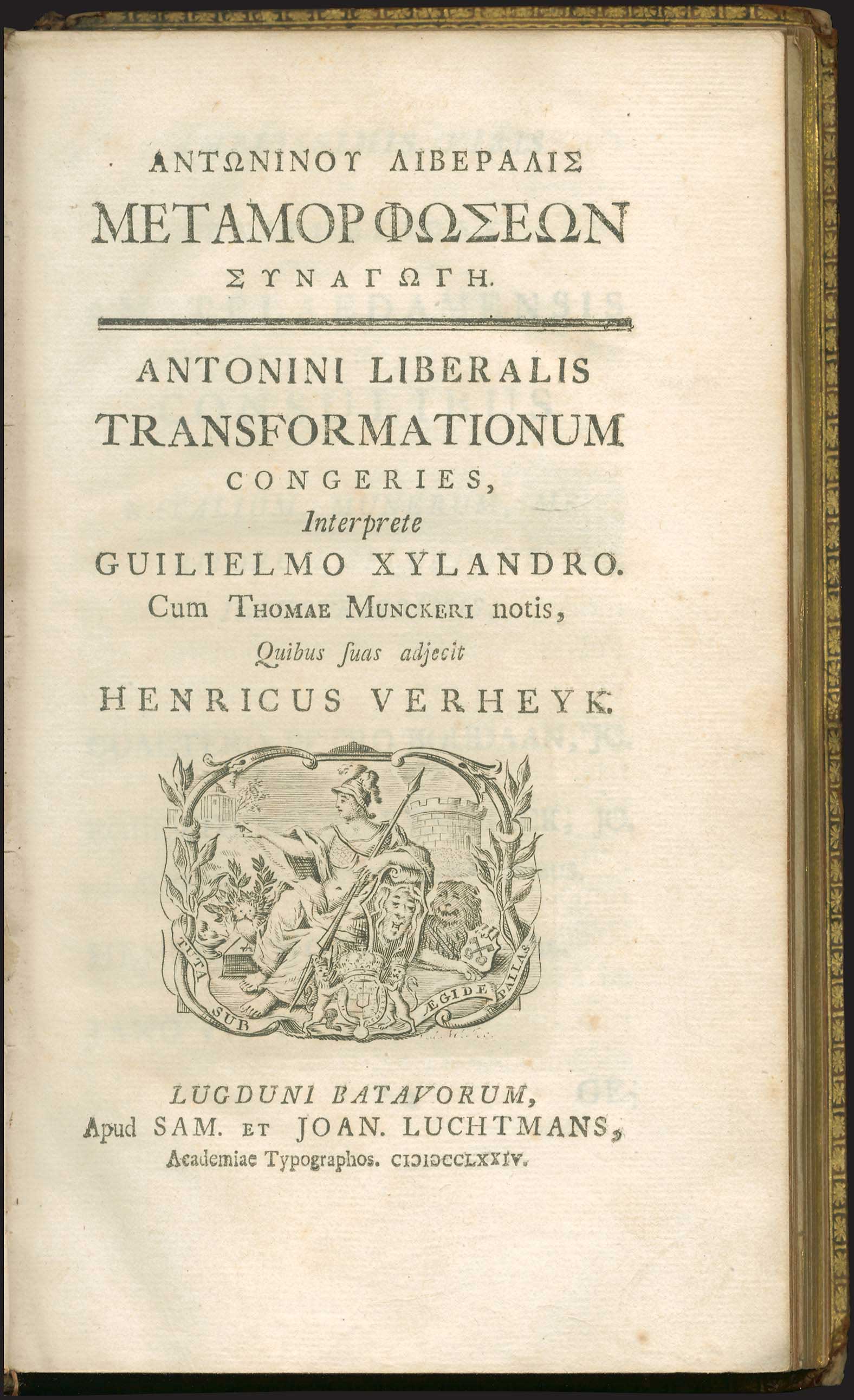 Lot 06513