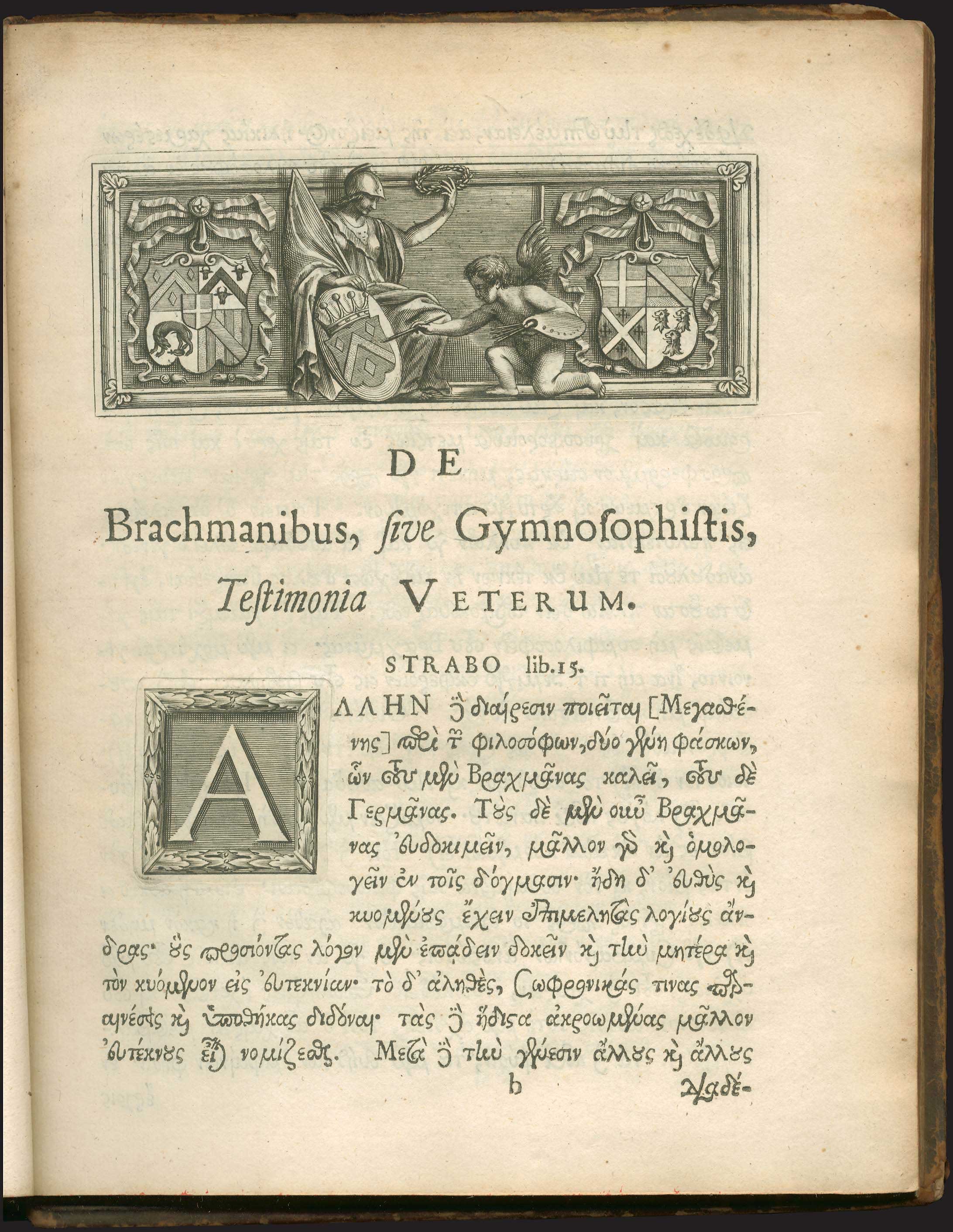 Lot 06506
