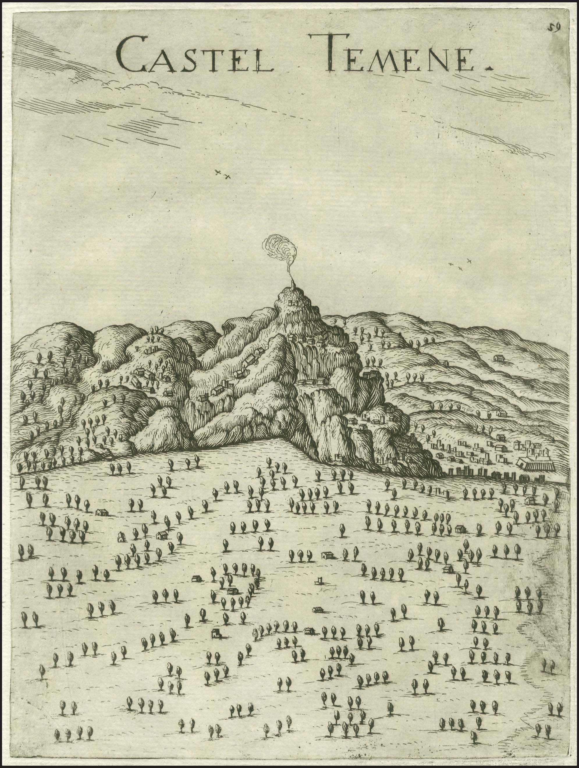 Lot 06042