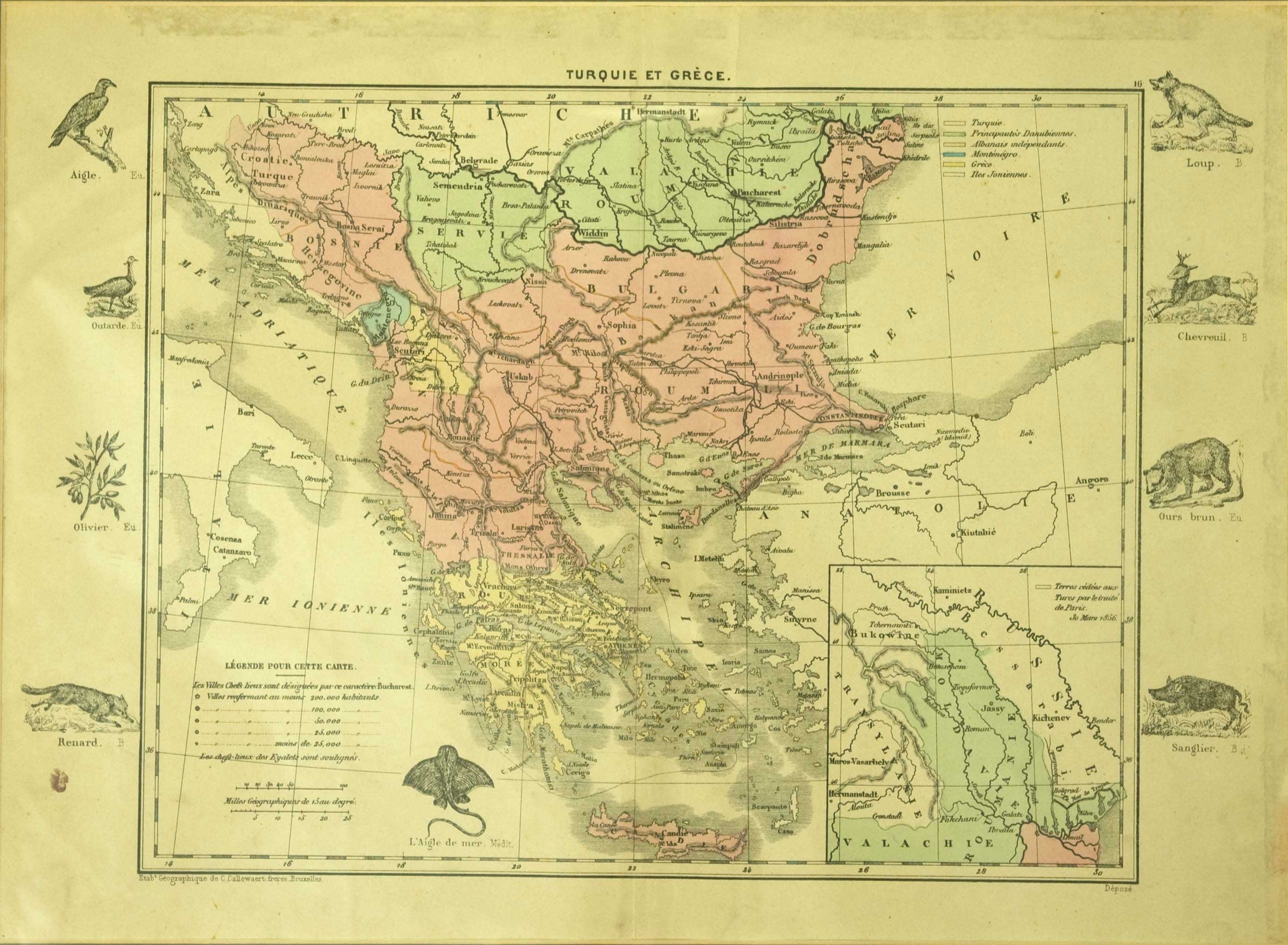 Lot 06156