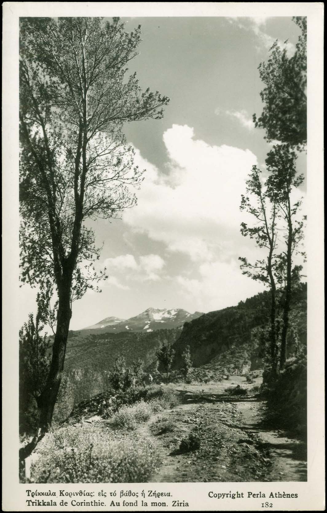 Lot 01394