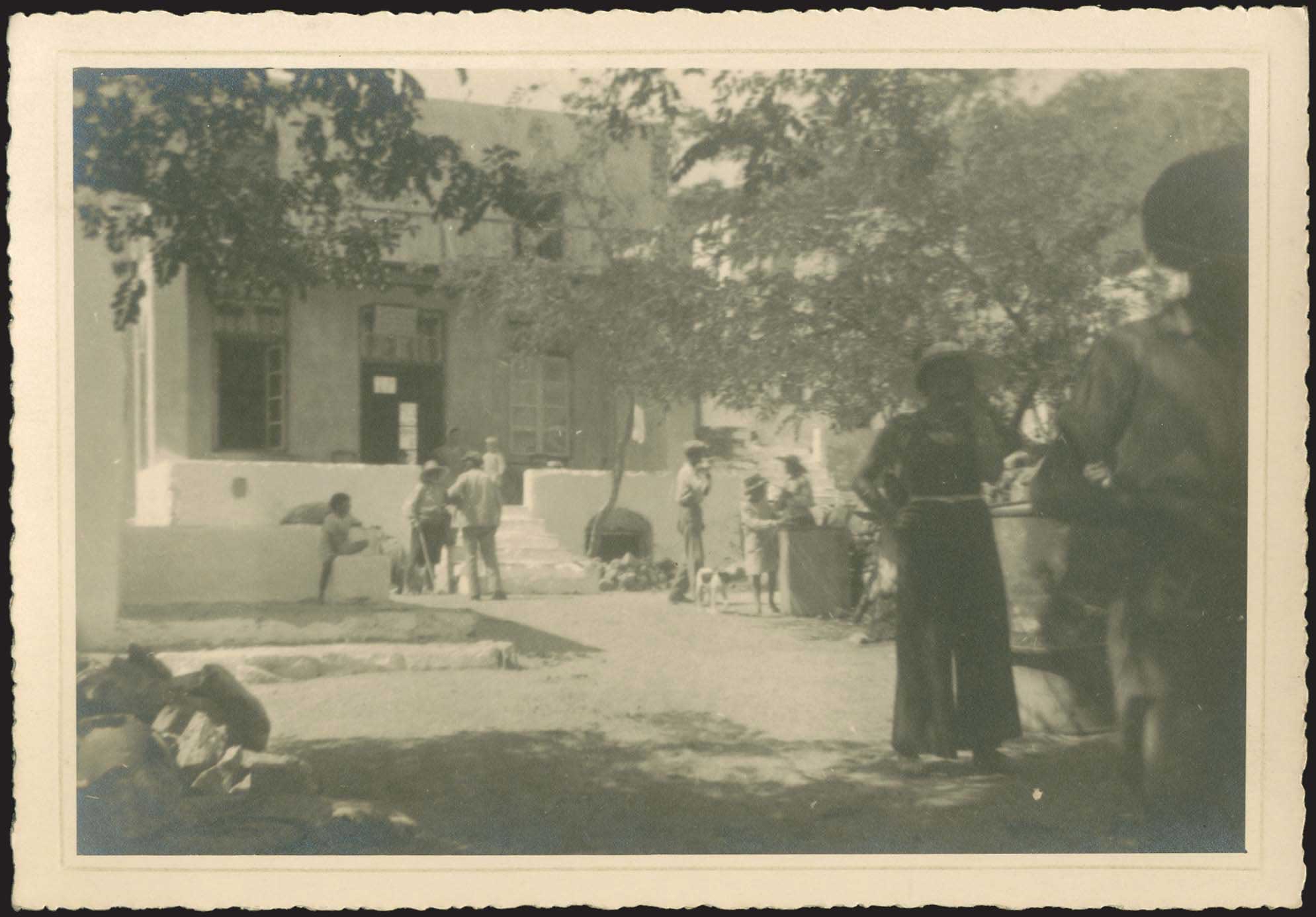 Lot 06183