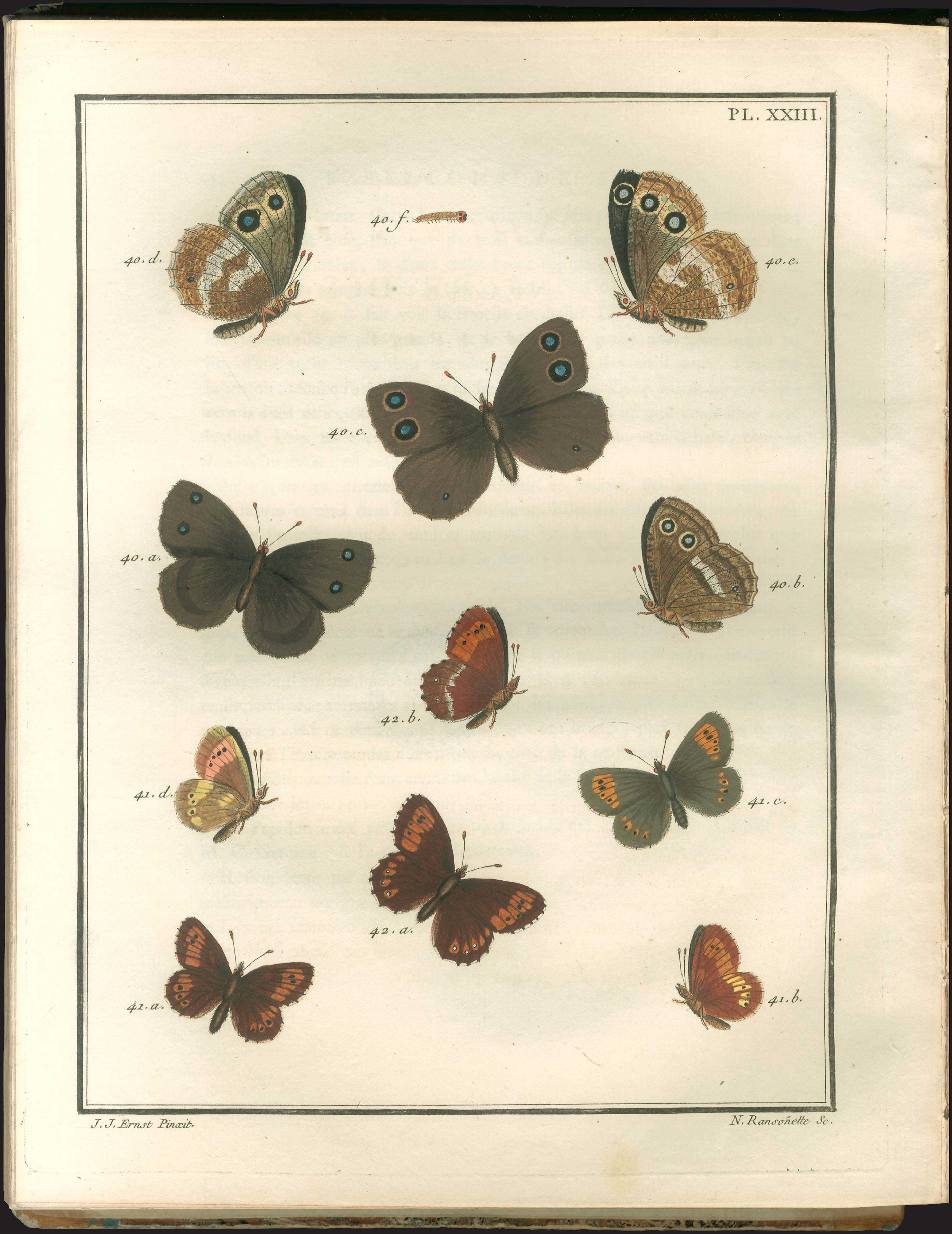 Lot 06515
