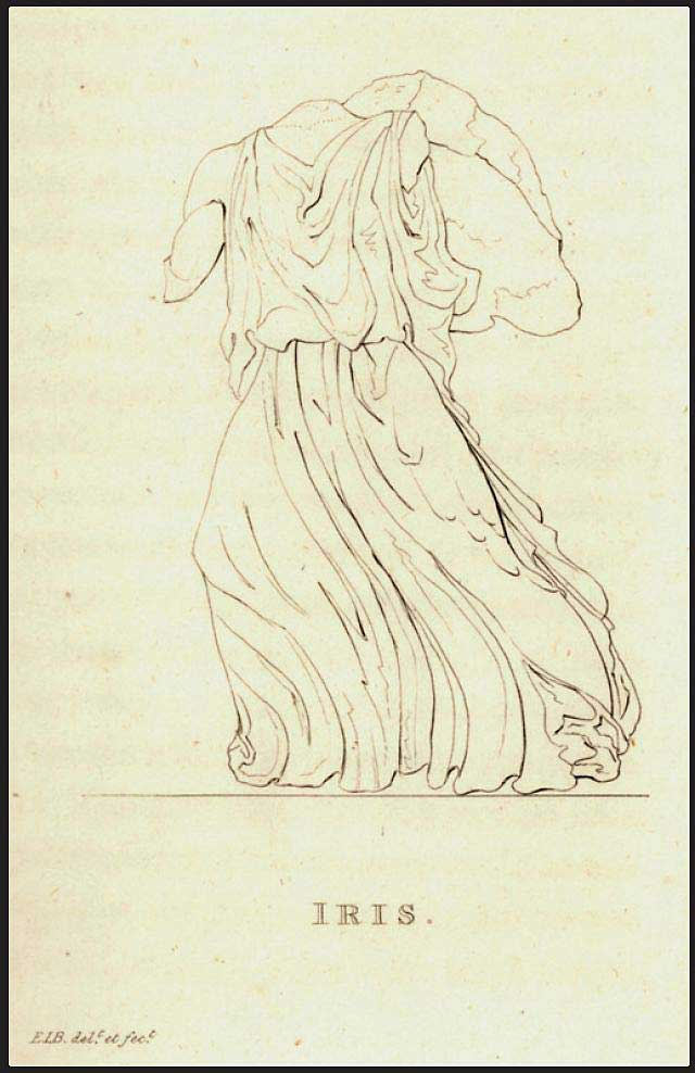 Lot 06530