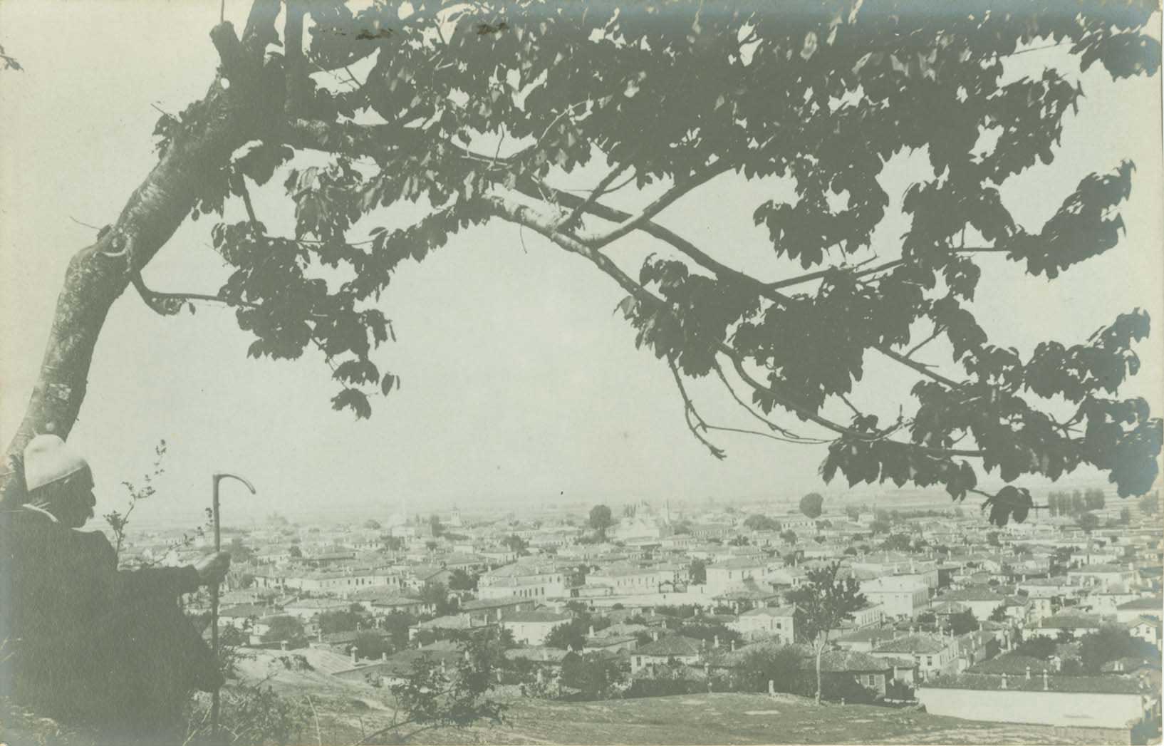 Lot 08797