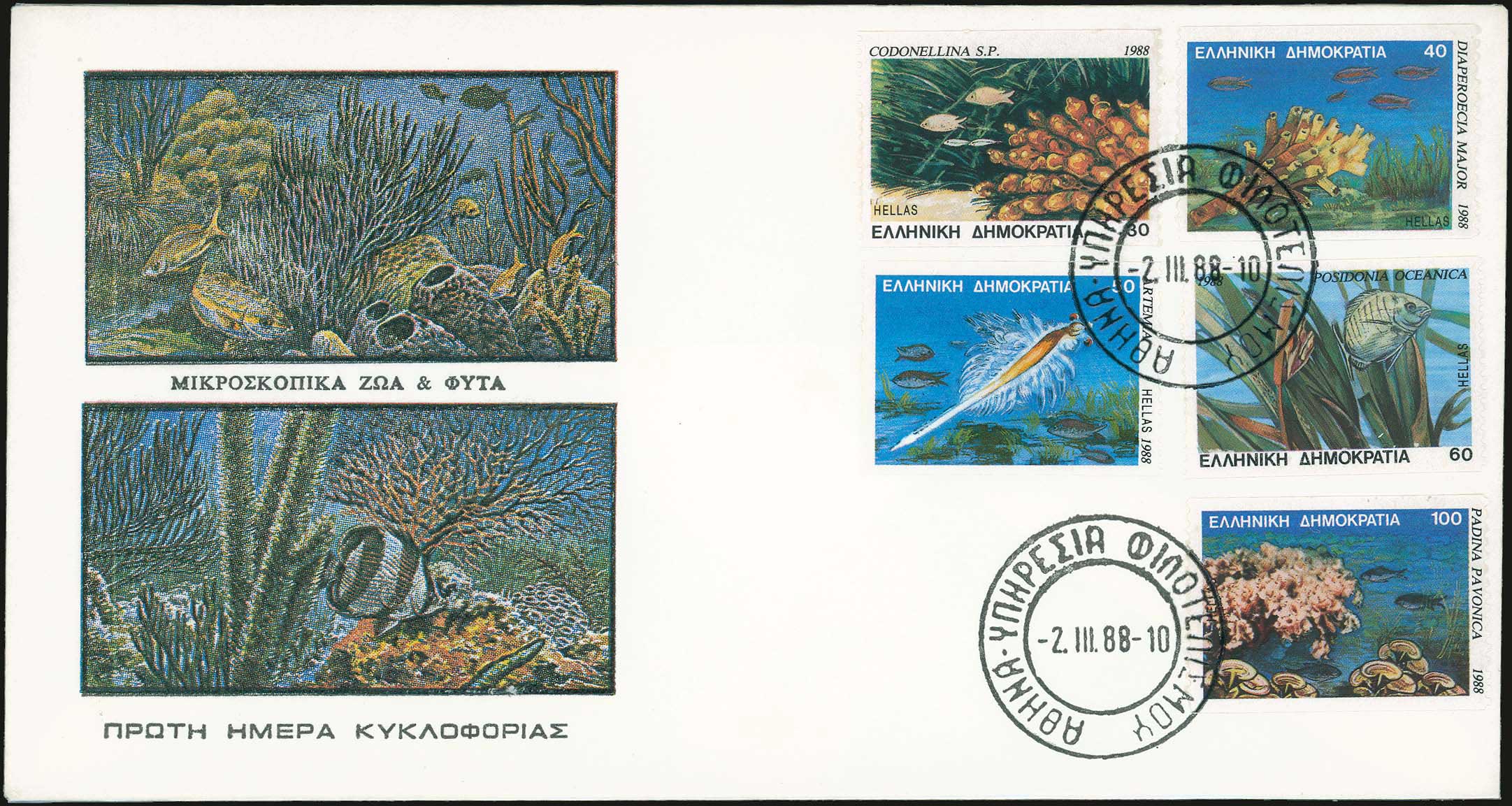 Lot 00915