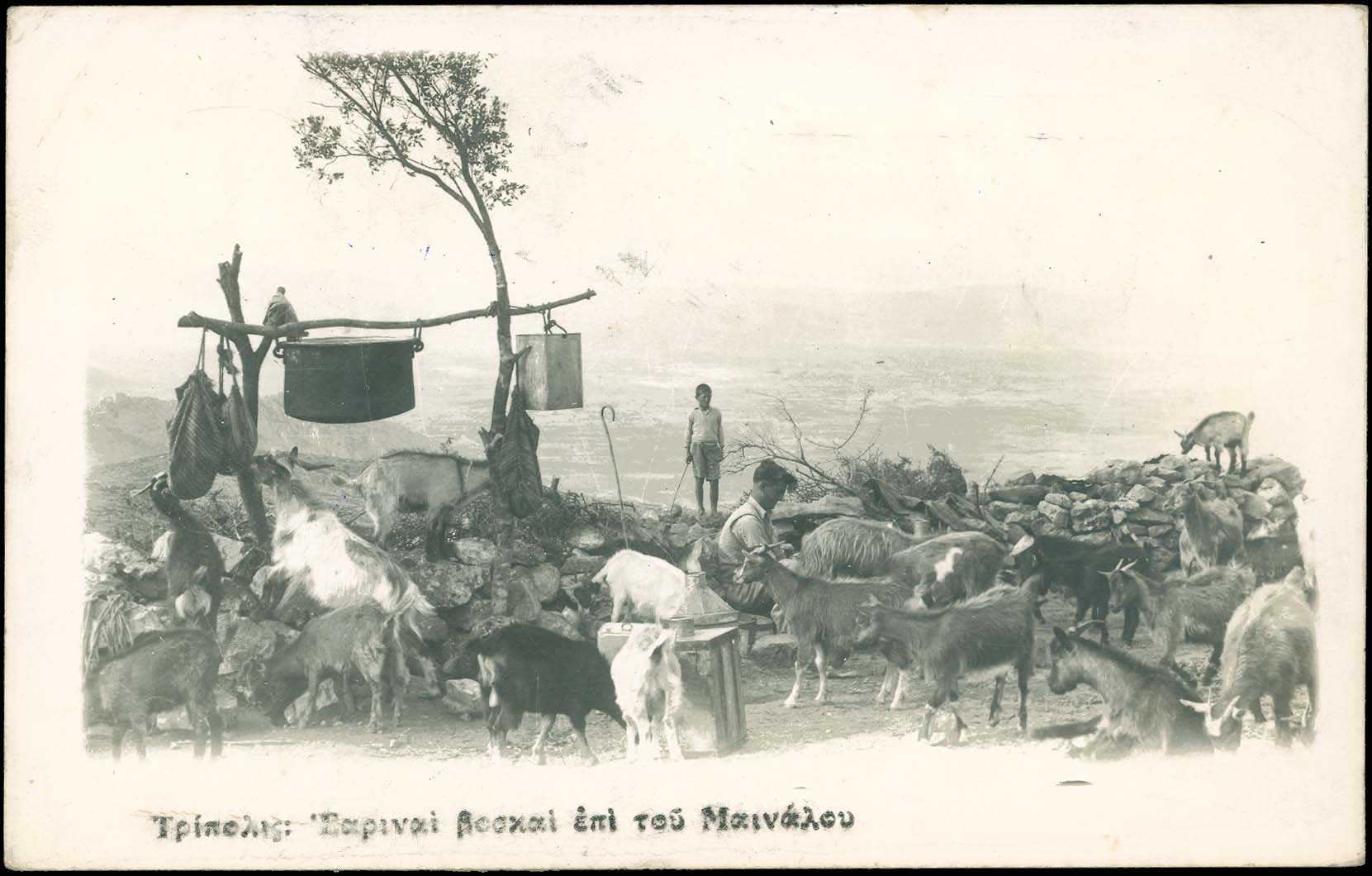 Lot 01903