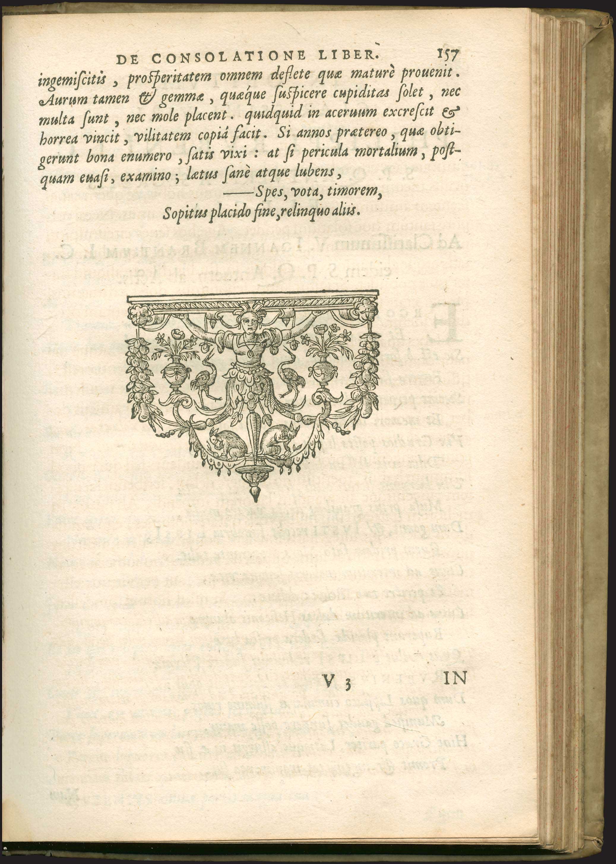 Lot 03005