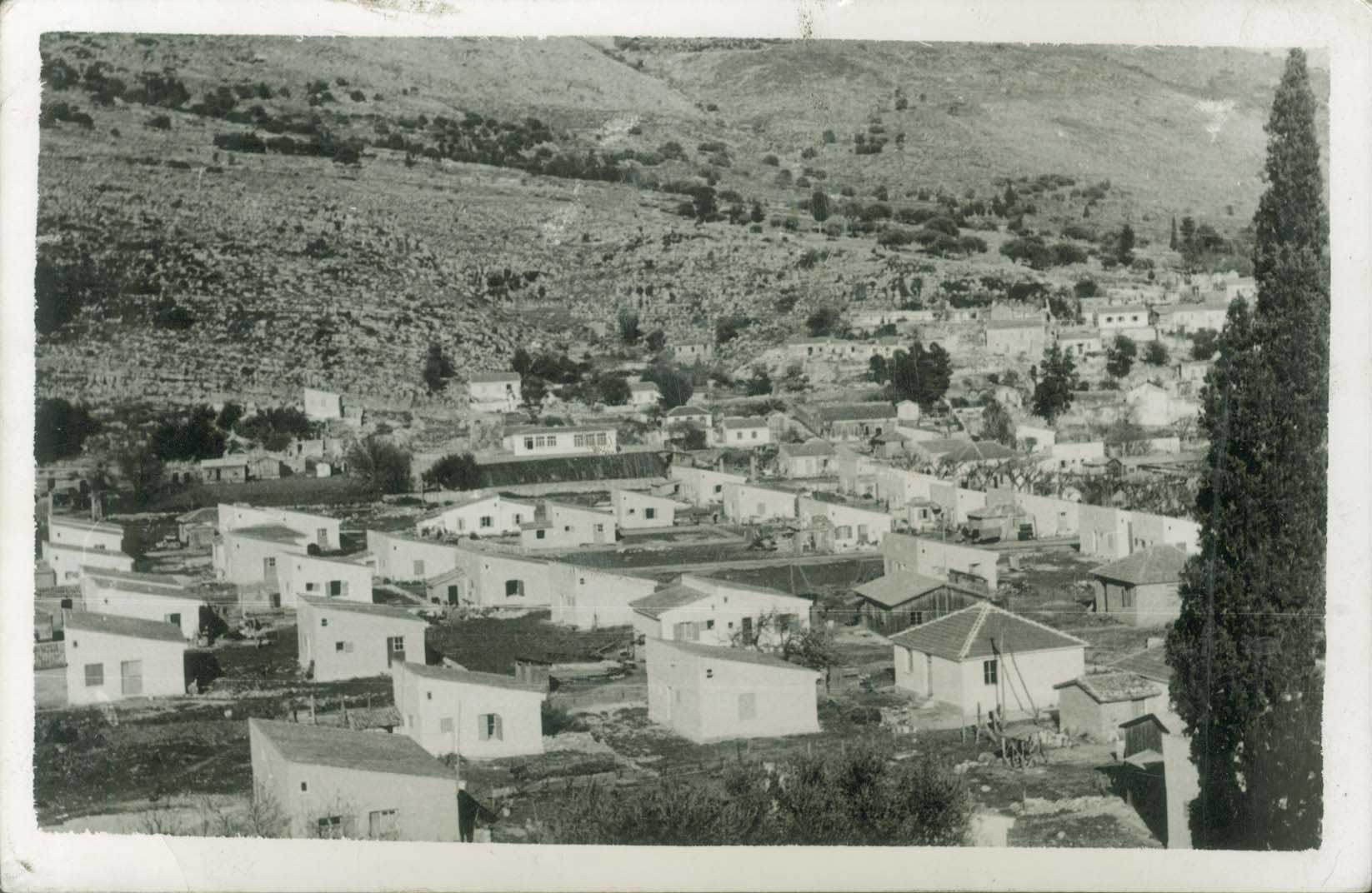 Lot 02169