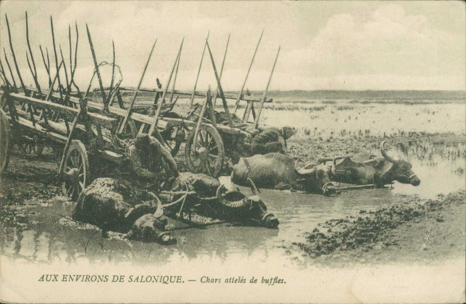 Lot 01622