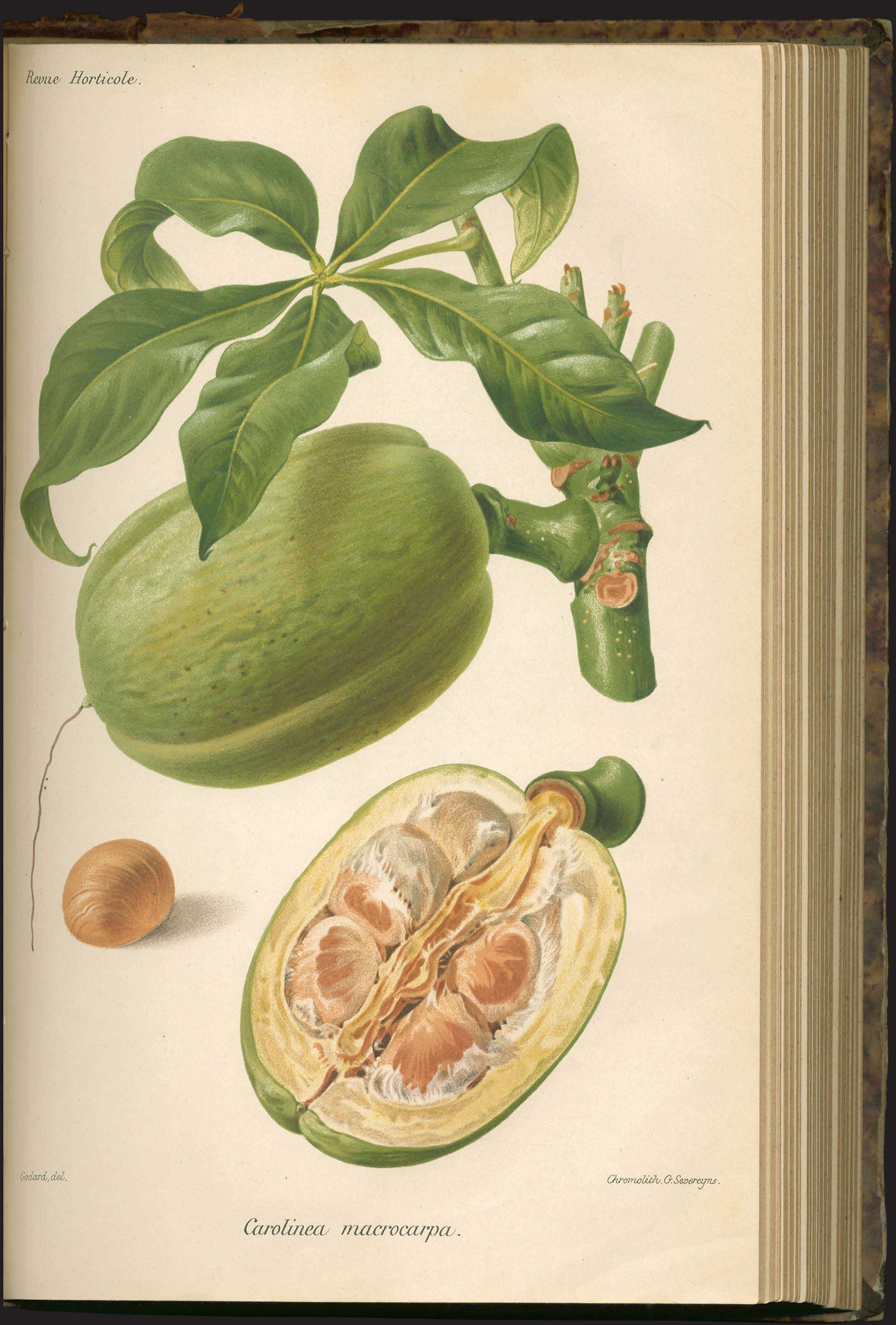 Lot 03061